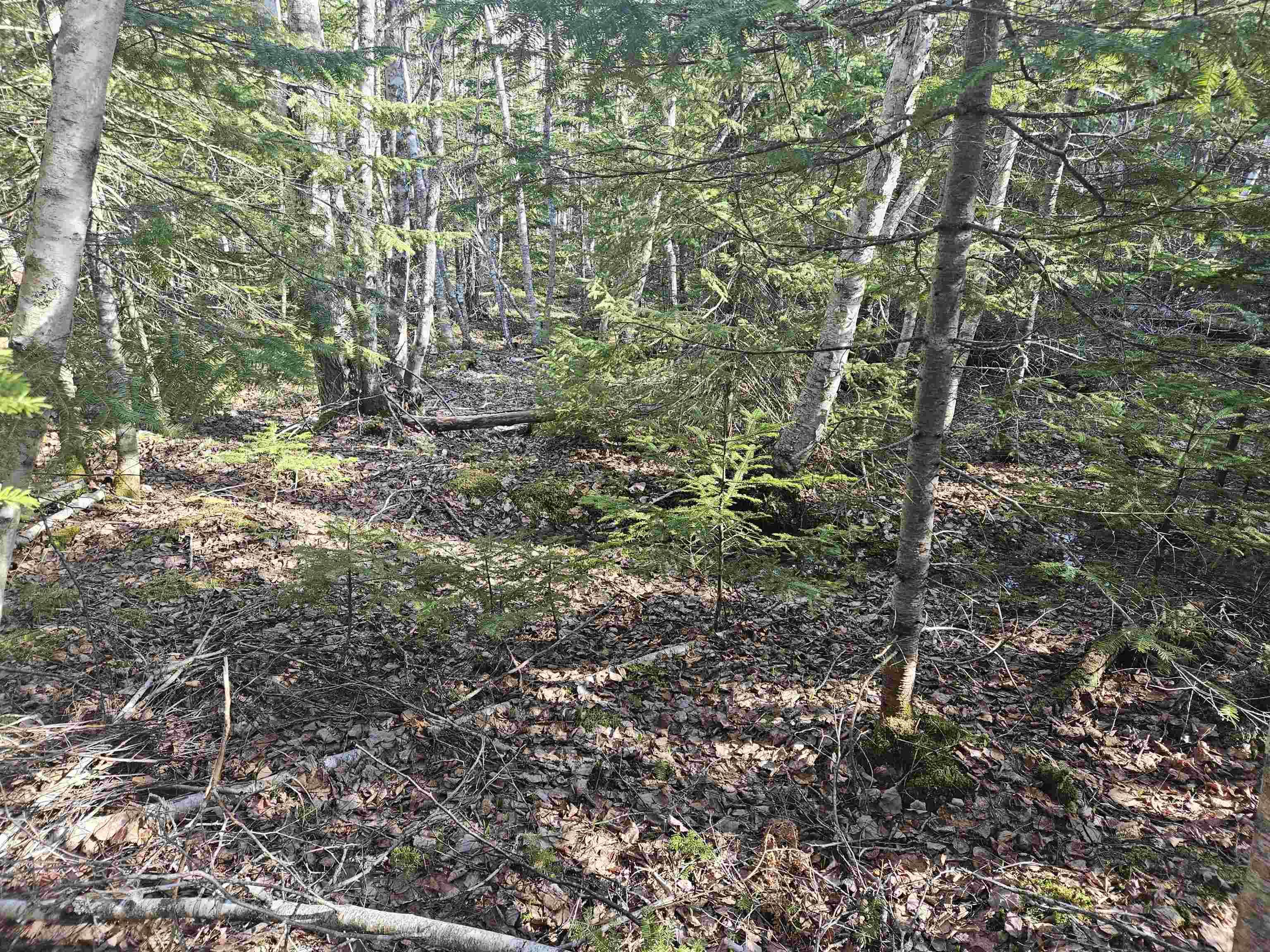 $74,900.00: V/L 368 Highway, Wentworth