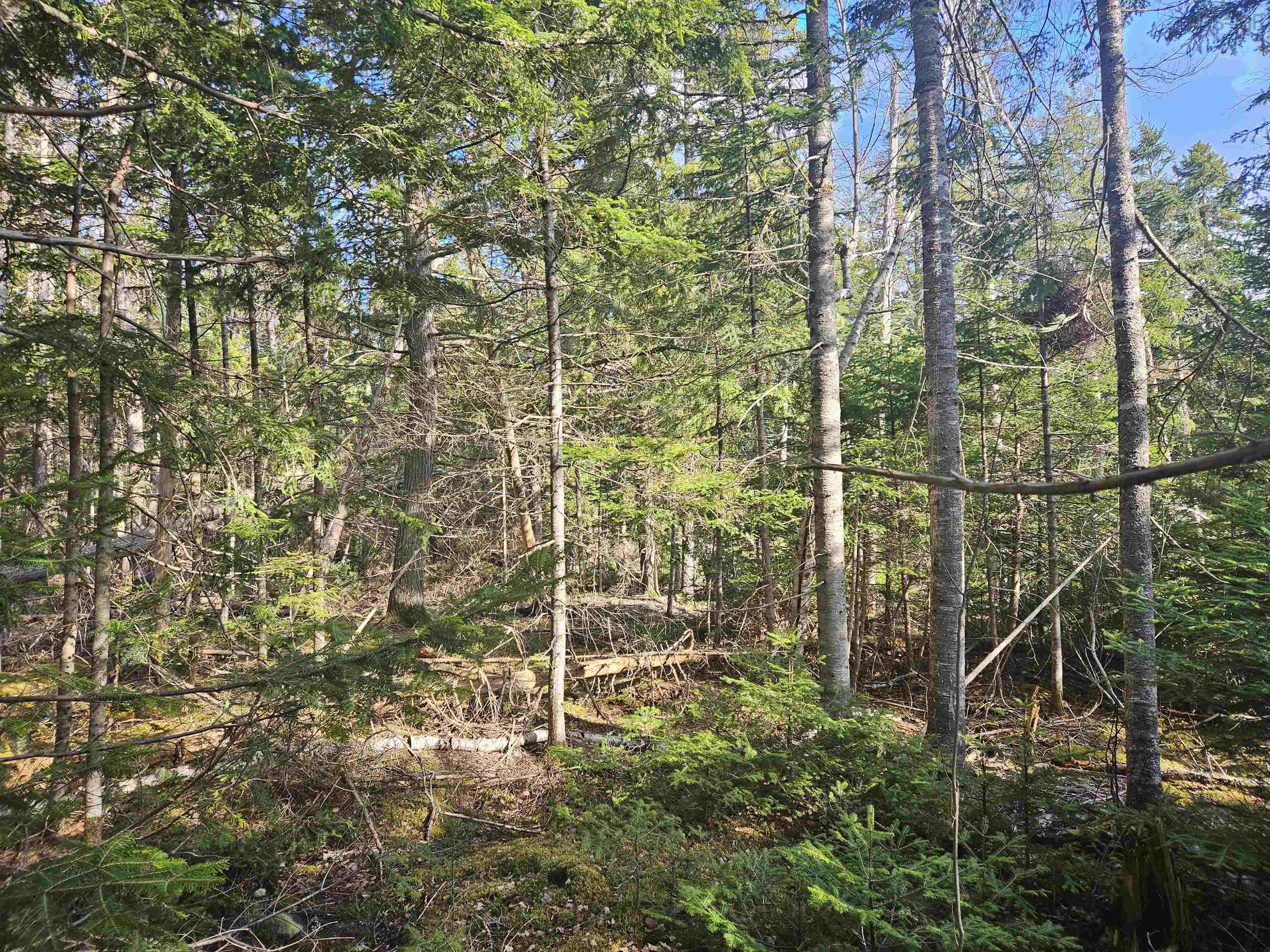 $74,900.00: V/L 368 Highway, Wentworth