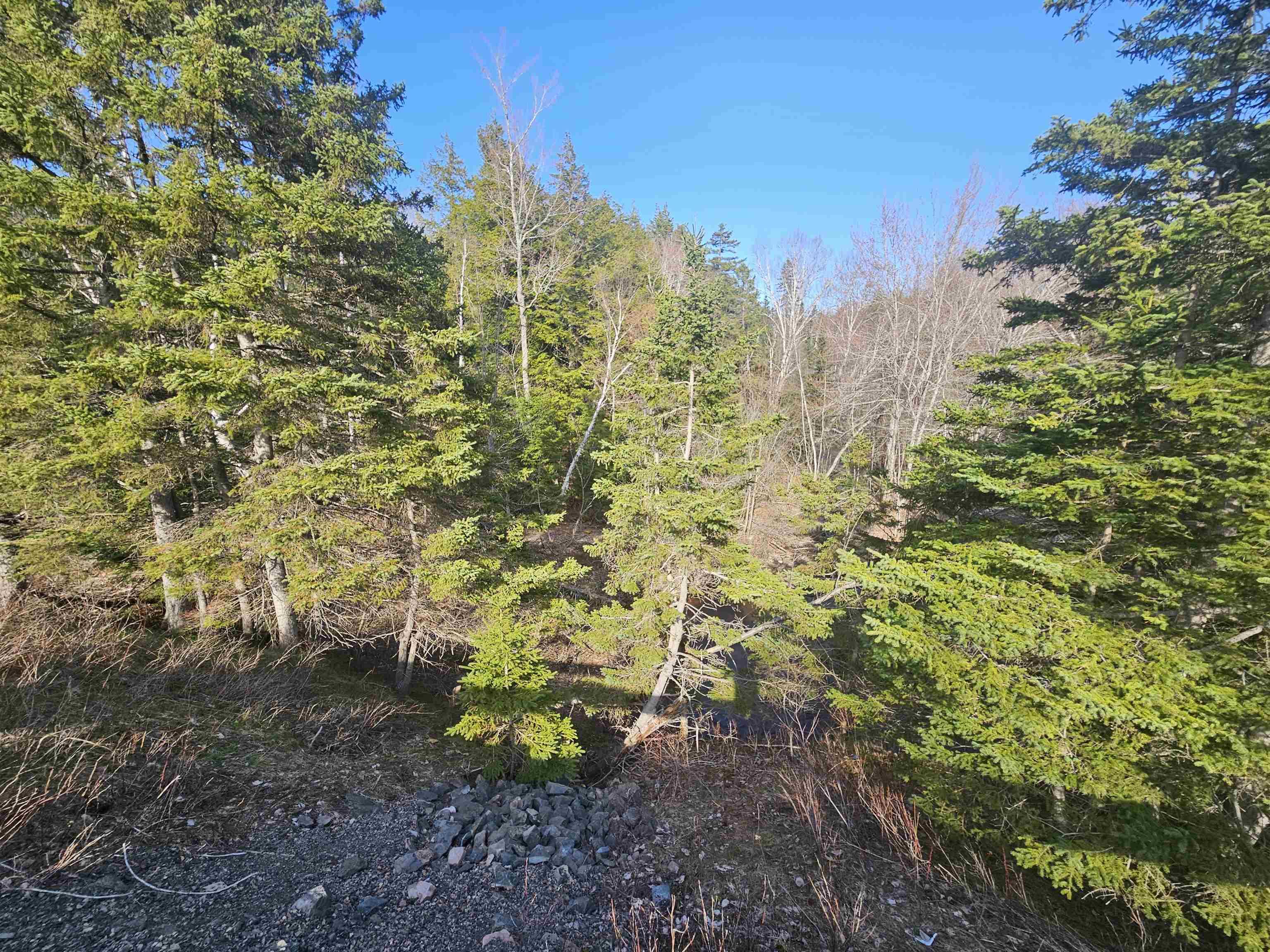 $74,900.00: V/L 368 Highway, Wentworth