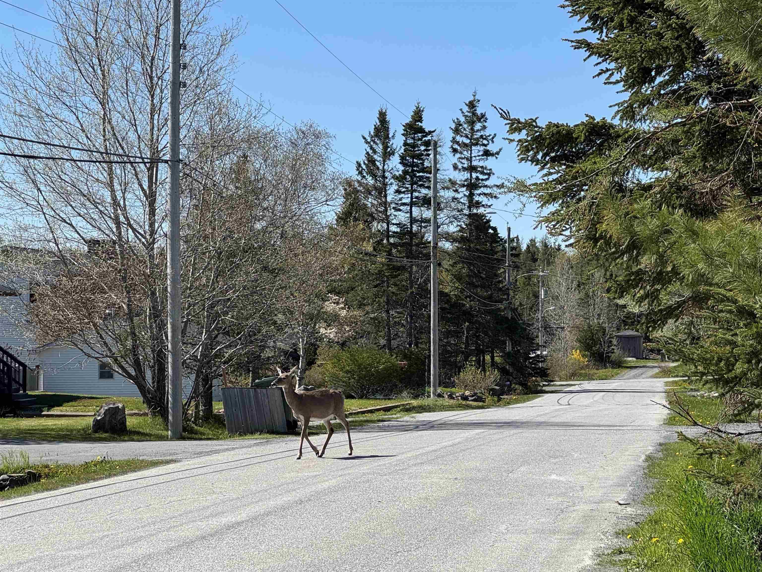 44 Lahey Drive, West Lawrencetown, NS (MLS 202610004)