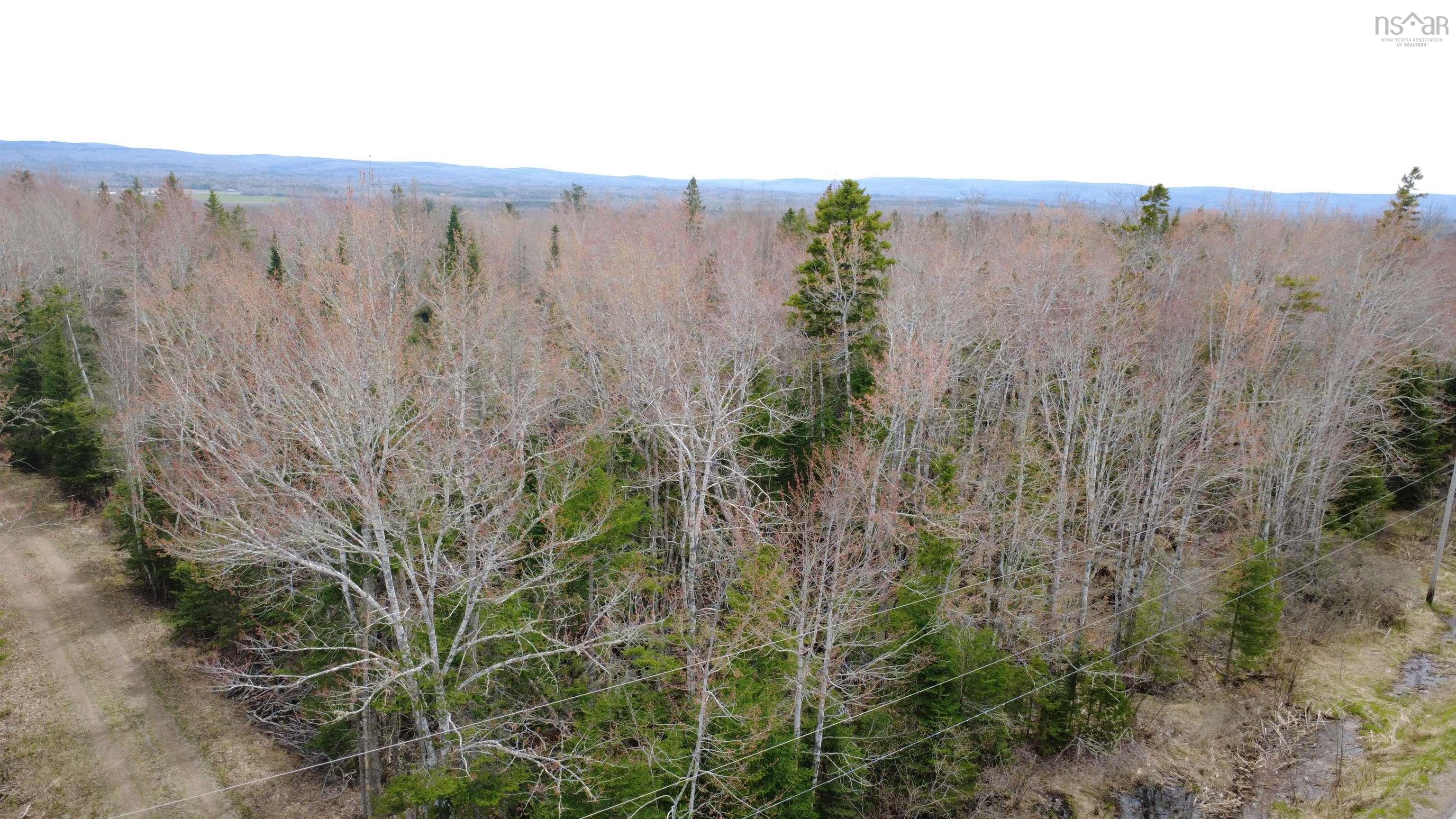 $21,000.00: ~2 Arce Lot Black River Road, Meadowville