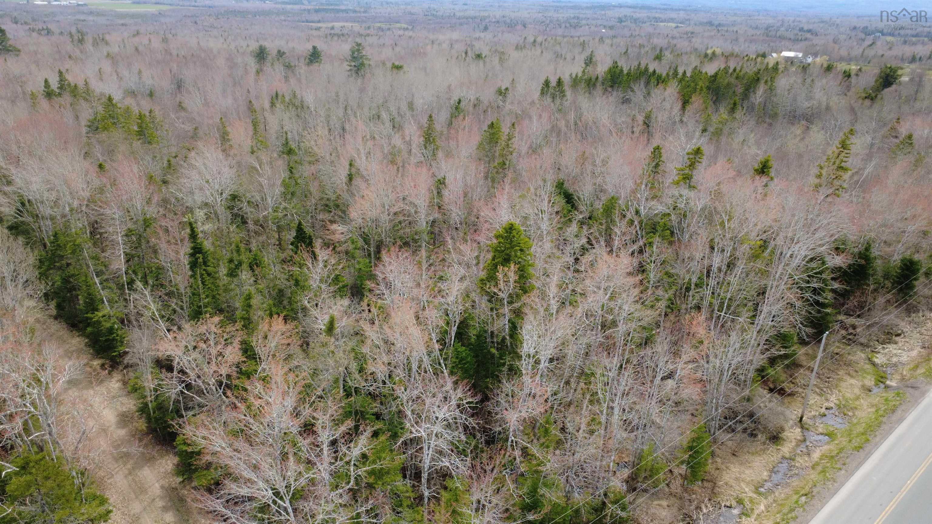 $21,000.00: ~2 Arce Lot Black River Road, Meadowville