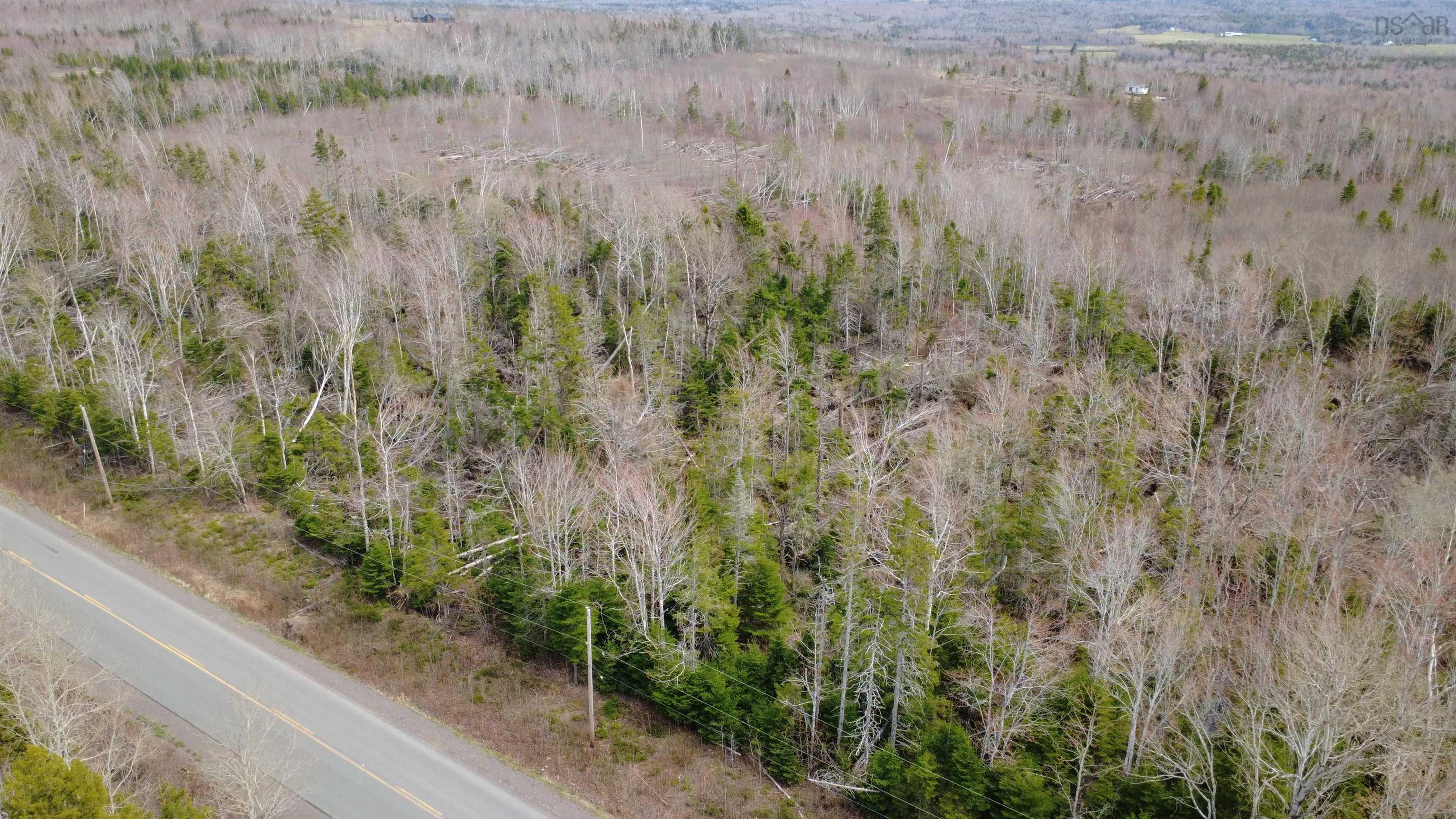 $25,000.00: ~4.5 Acre Lot Black River Road, Meadowville