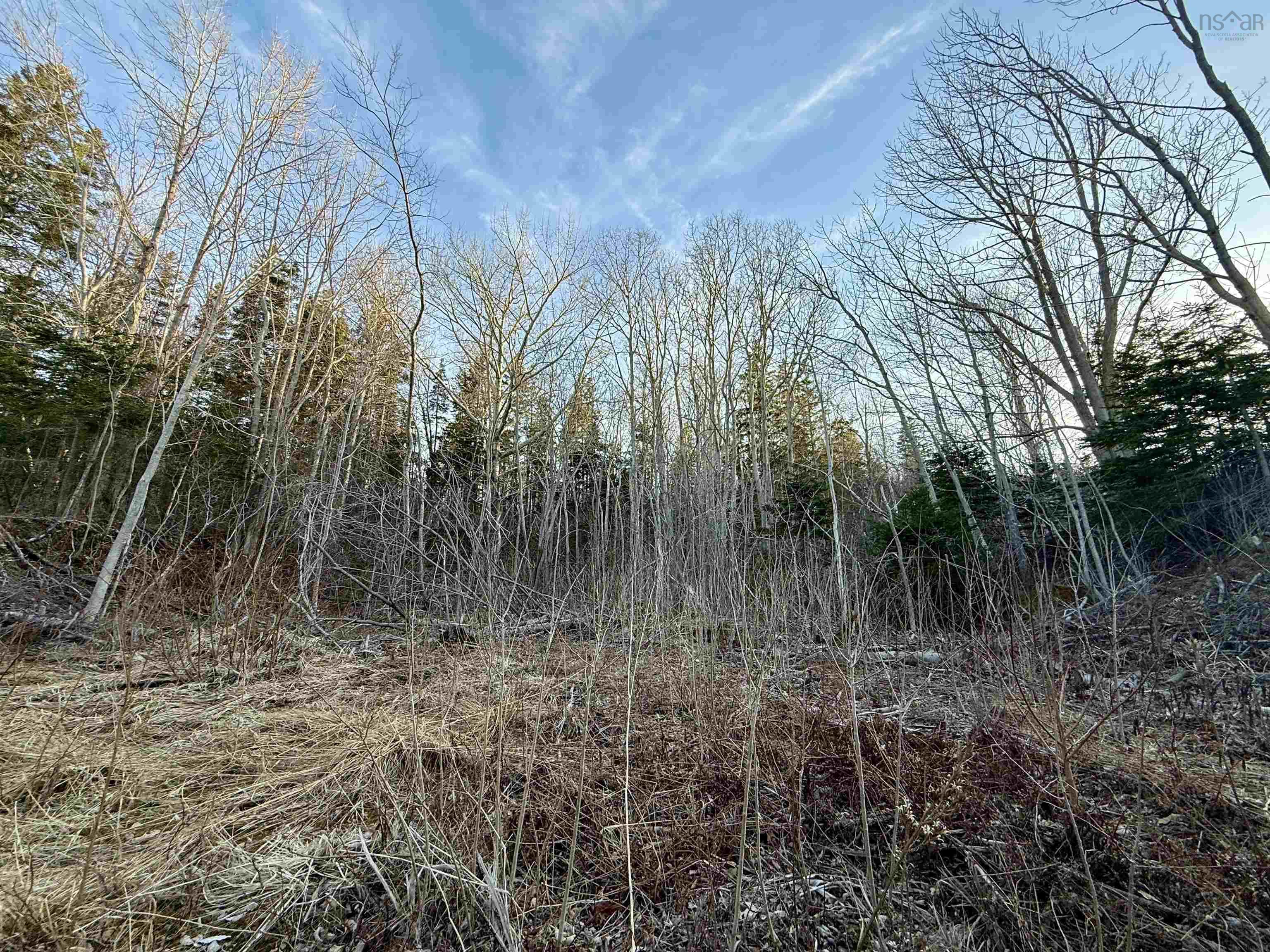 $34,900.00: Lot Highway 4, Aulds Cove