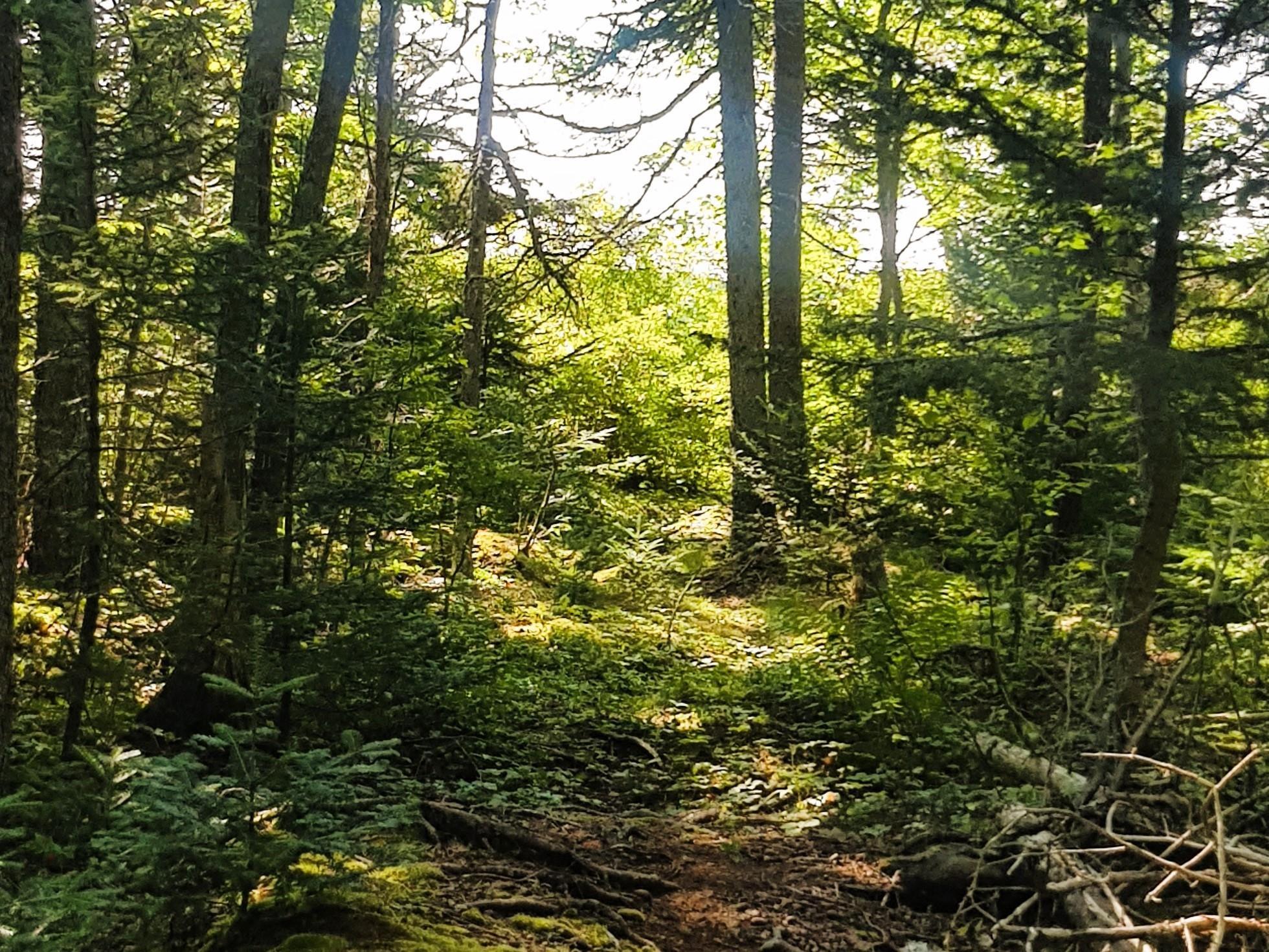 $72,900.00: Lot Middle Road, Fort Lawrence