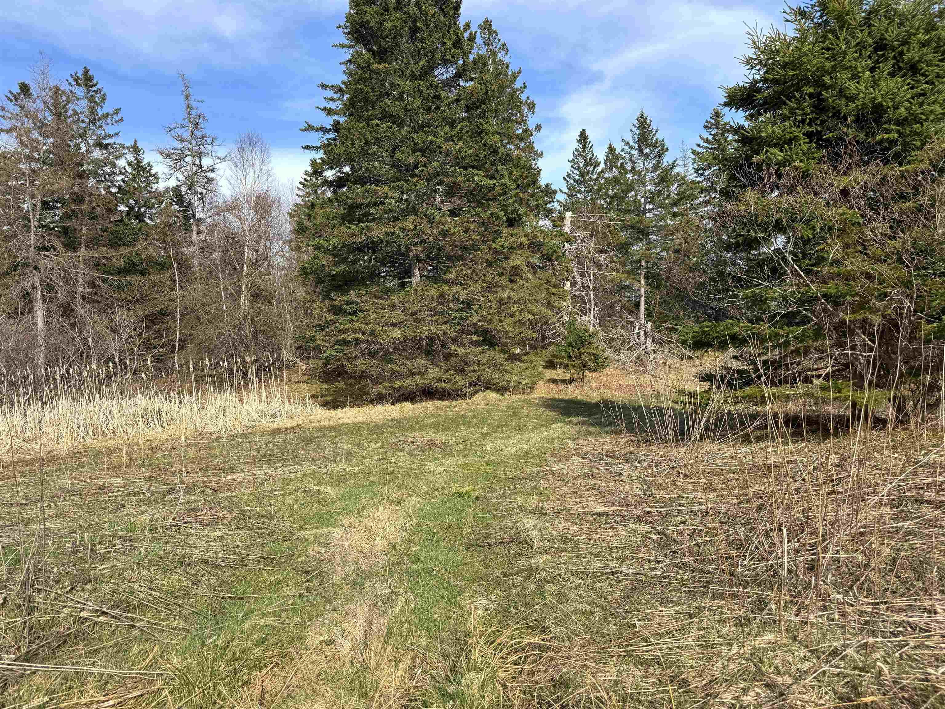 $49,000.00: Orangedale-Iona Road, West Alba
