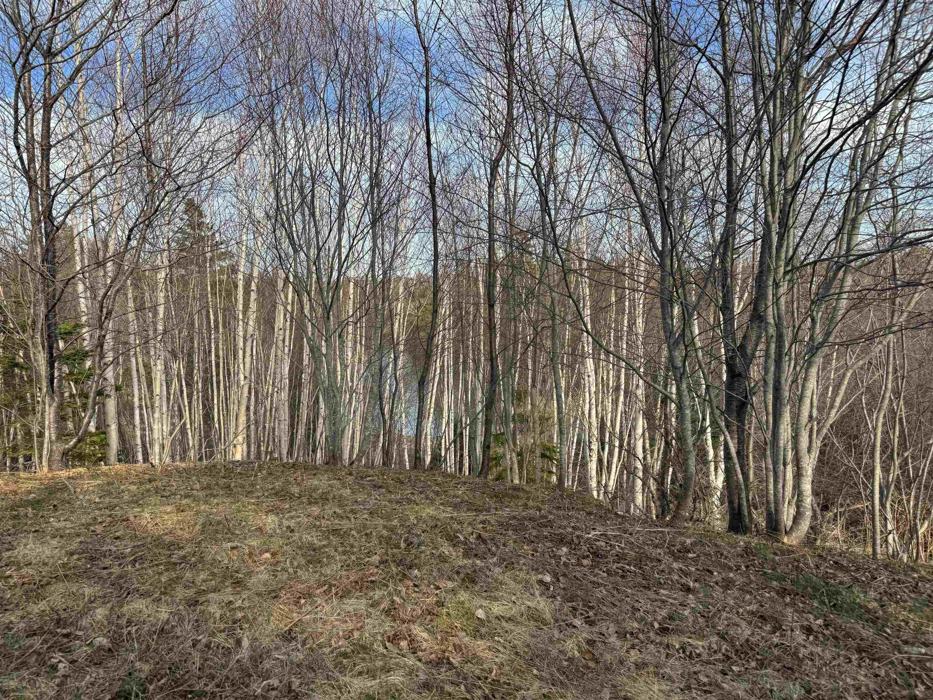 $49,000.00: Orangedale-Iona Road, West Alba