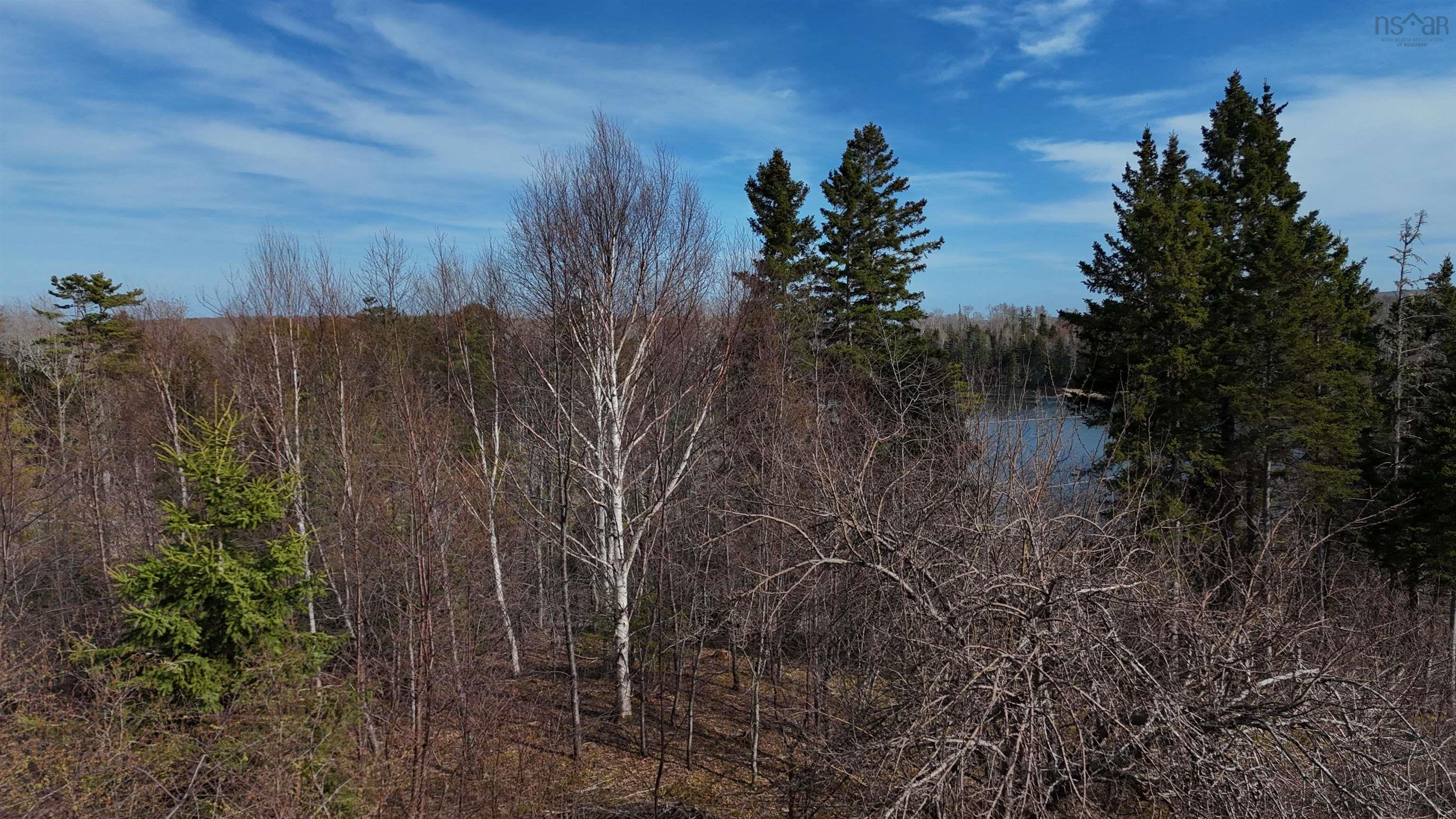 $49,000.00: Orangedale-Iona Road, West Alba