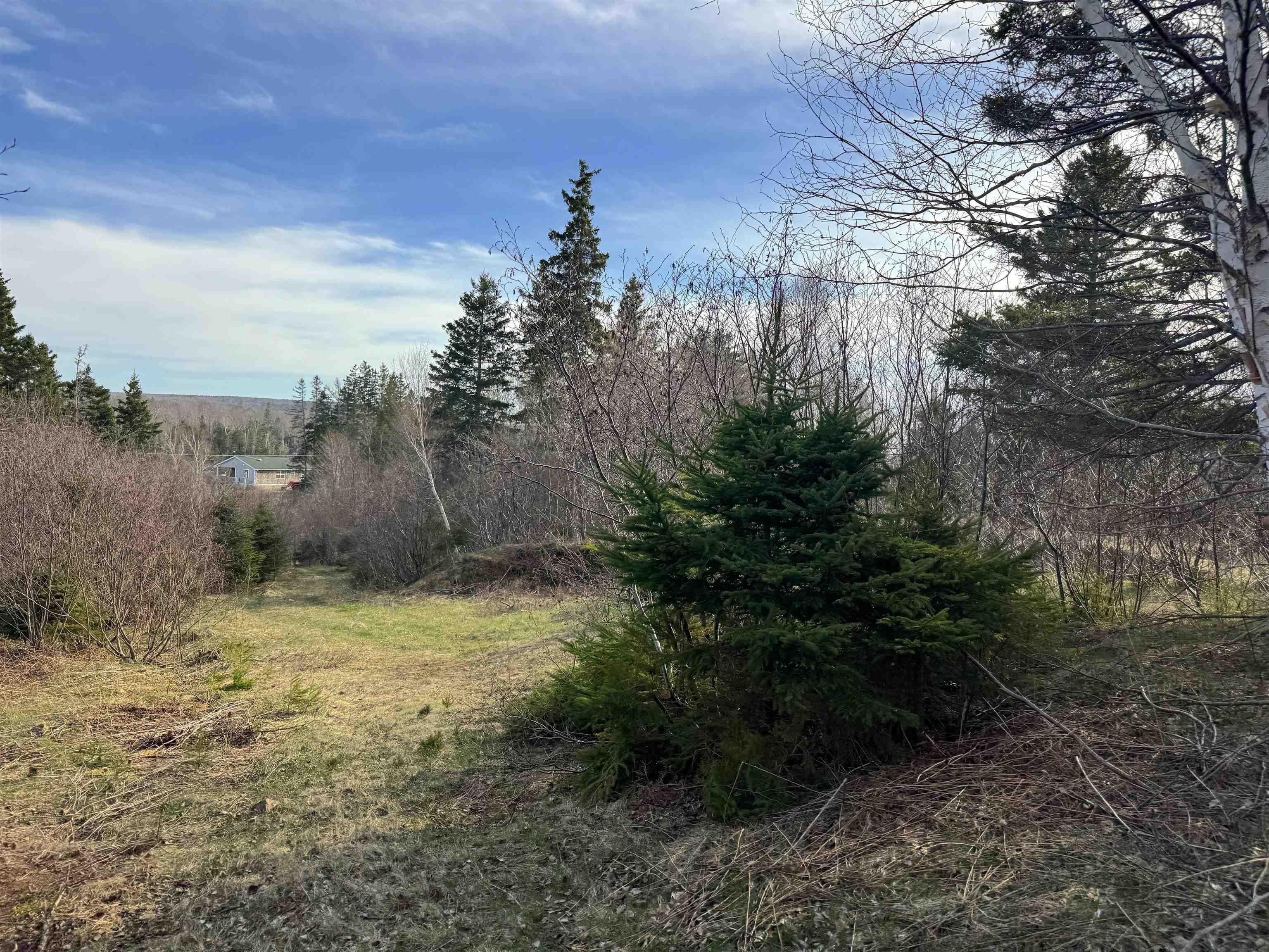 $49,000.00: Orangedale-Iona Road, West Alba