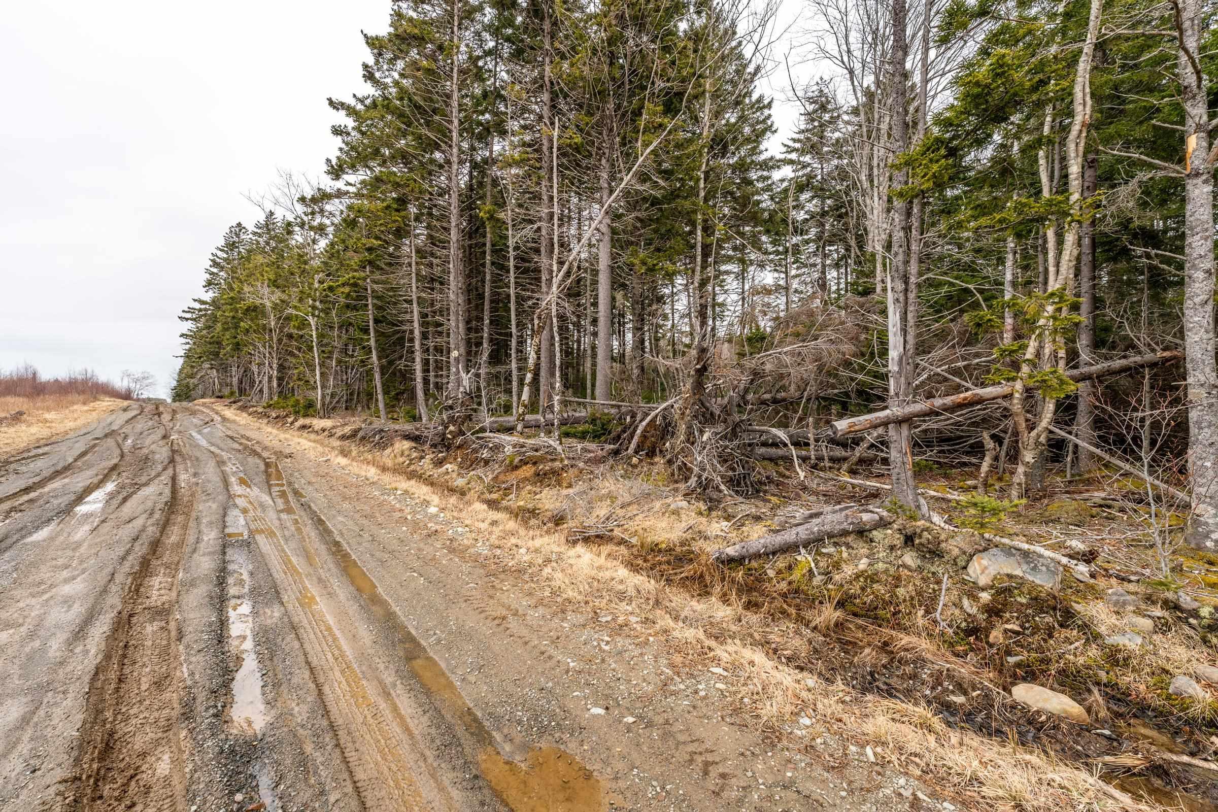 $40,000.00: Lot Grosses Coque Road, Grosses Coques
