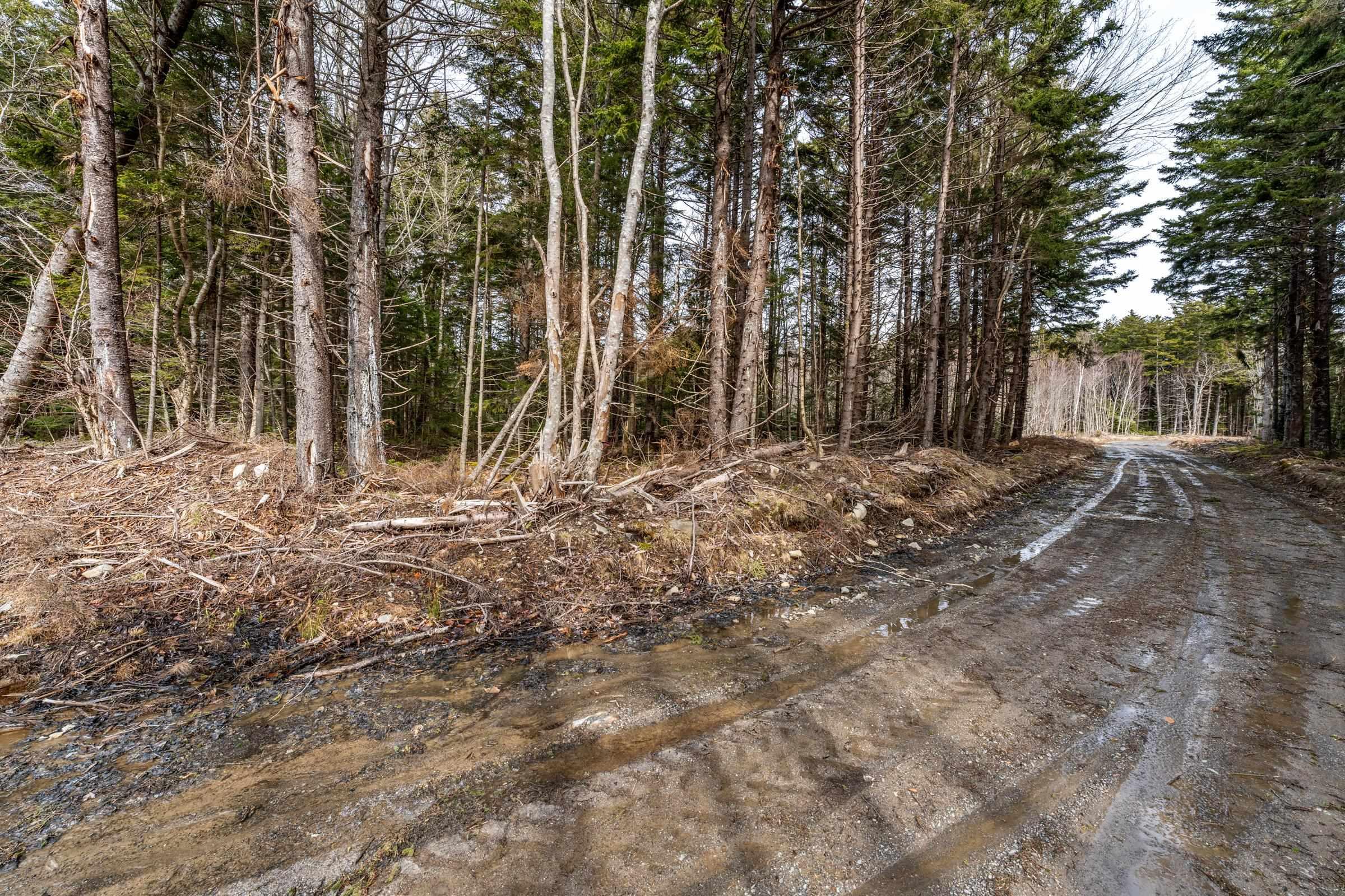 $40,000.00: Lot Grosses Coque Road, Grosses Coques