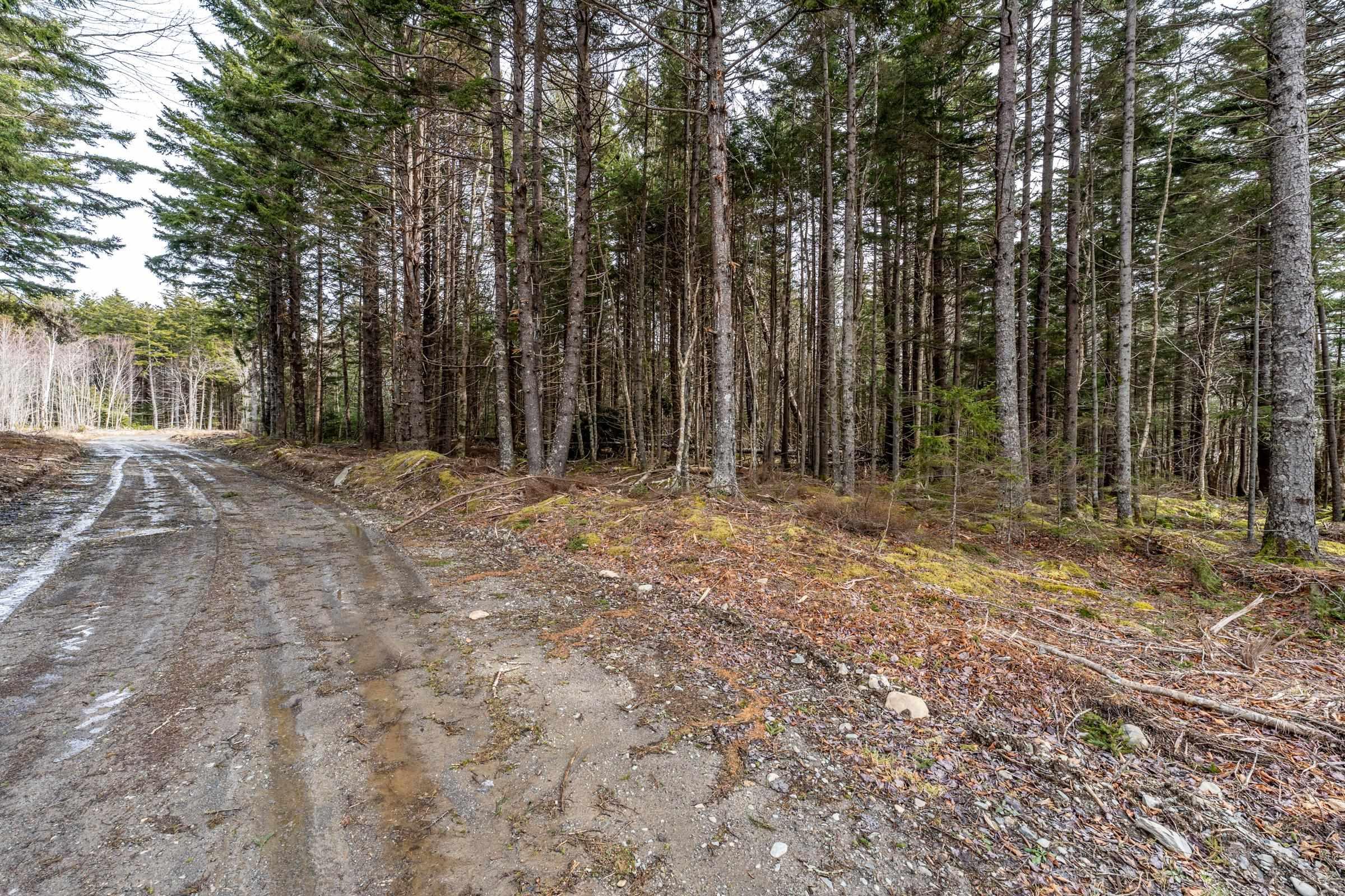 $52,000.00: Lot Grosses Coques Road, Grosses Coques