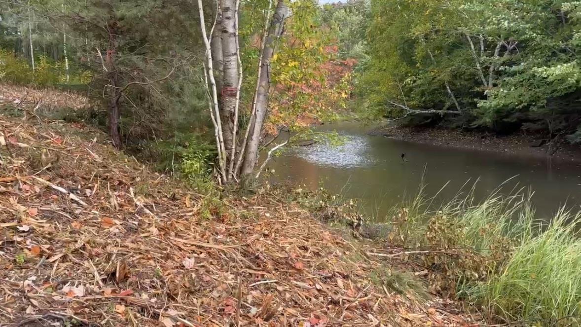 Lot 03-3c Point Forty Four Road, Little Harbour, NS (MLS® 202610173)