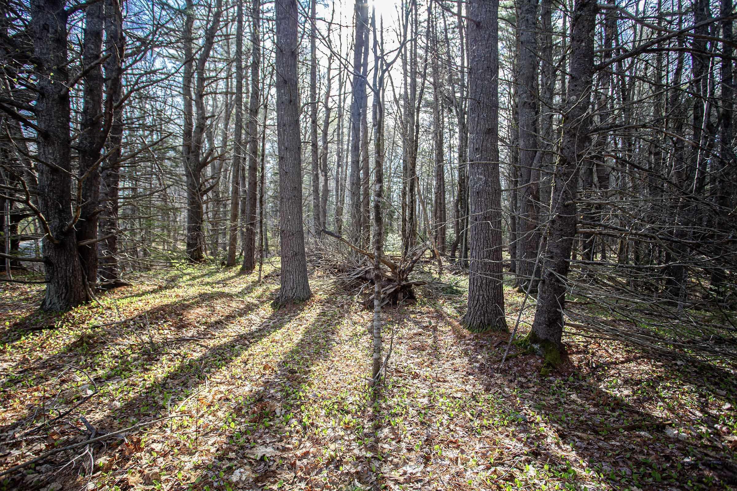 $67,500.00: Lot Middle Road, North Williamston