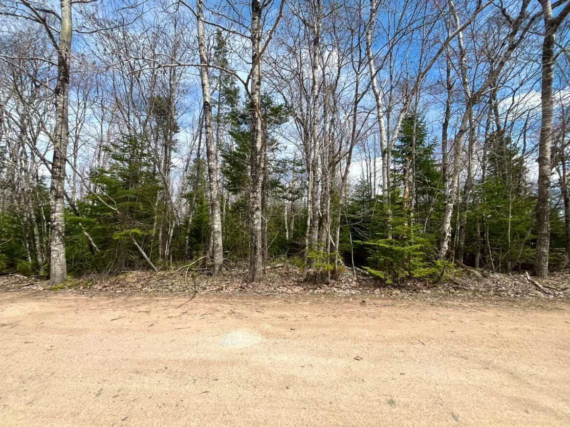 $29,900.00: Lot 10 Black Duck Lake Road, East Dalhousie