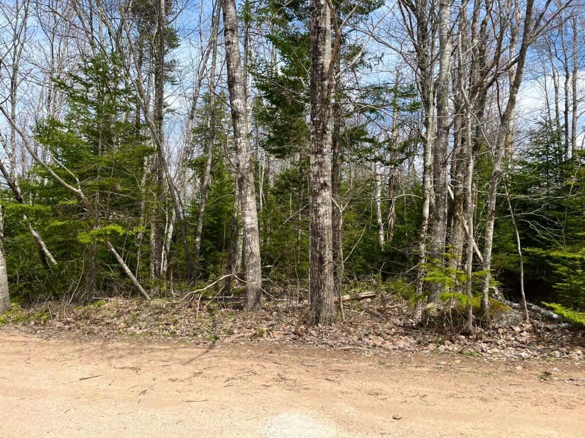 $29,900.00: Lot 10 Black Duck Lake Road, East Dalhousie