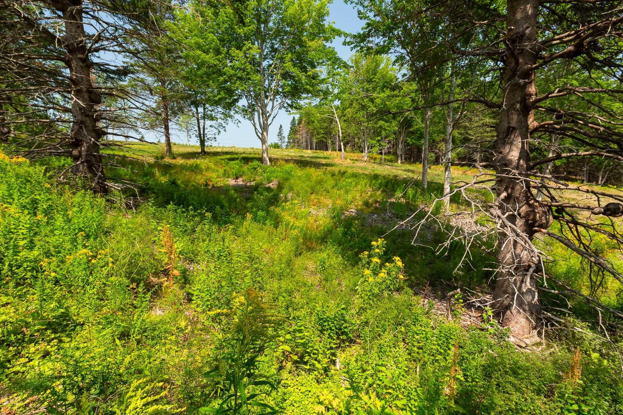 $48,000.00: Lot 3 Highway 19, Hawleys Hill, Mabou