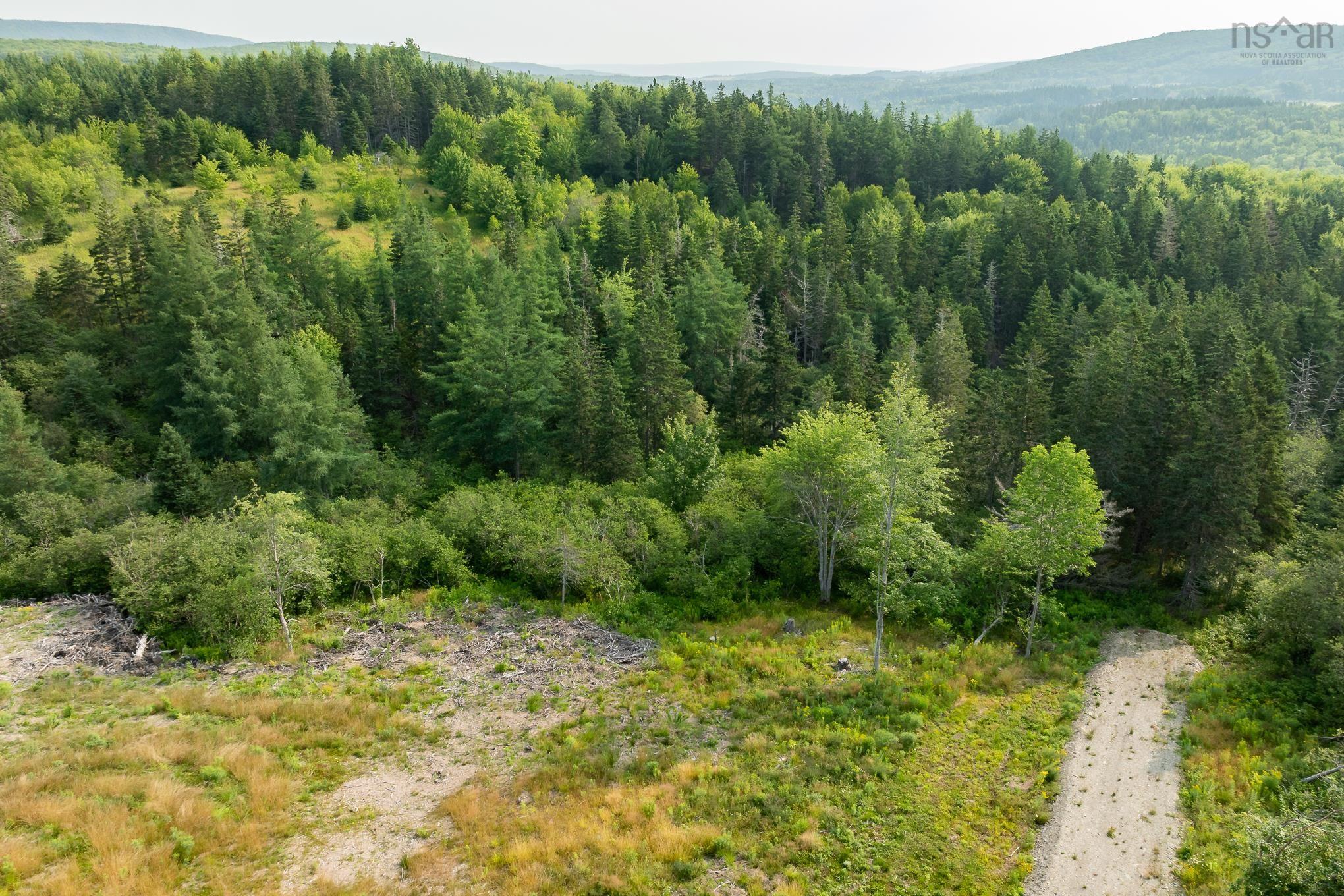 $24,000.00: Lot 5 Highway 19, Hawleys Hill, Mabou