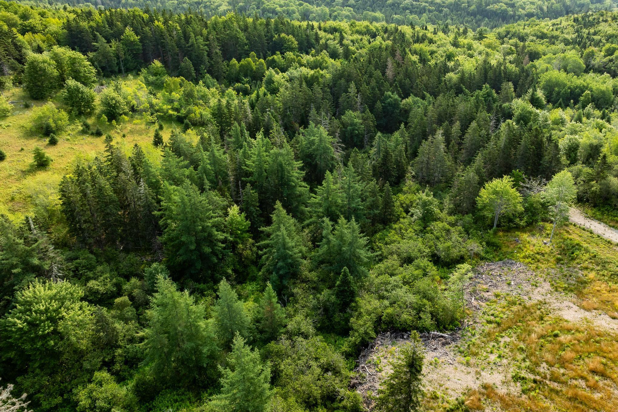 $24,000.00: Lot 5 Highway 19, Hawleys Hill, Mabou