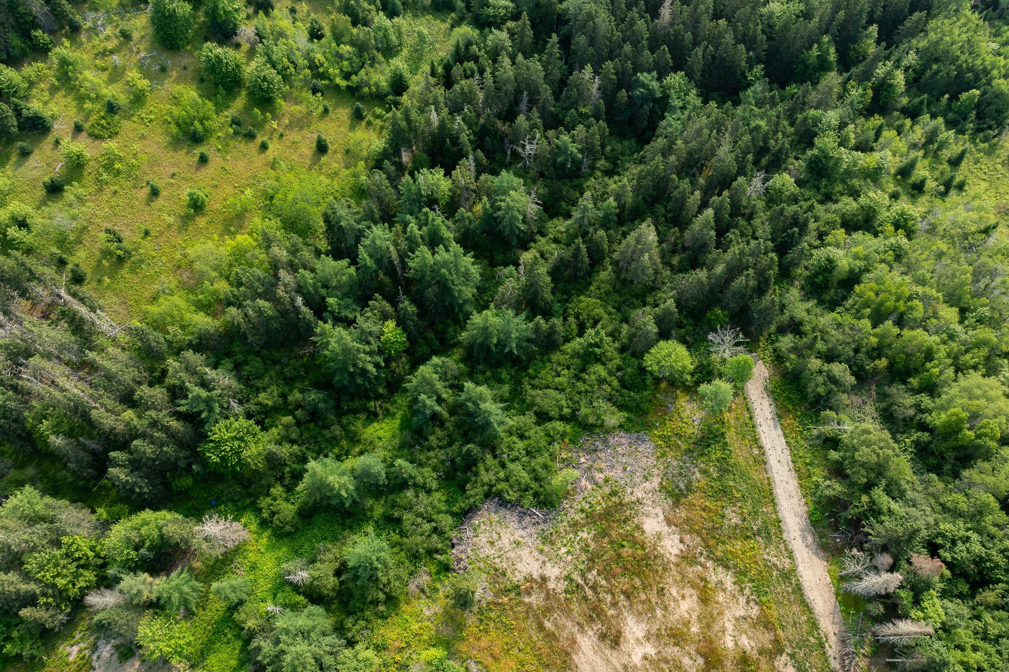 $24,000.00: Lot 5 Highway 19, Hawleys Hill, Mabou