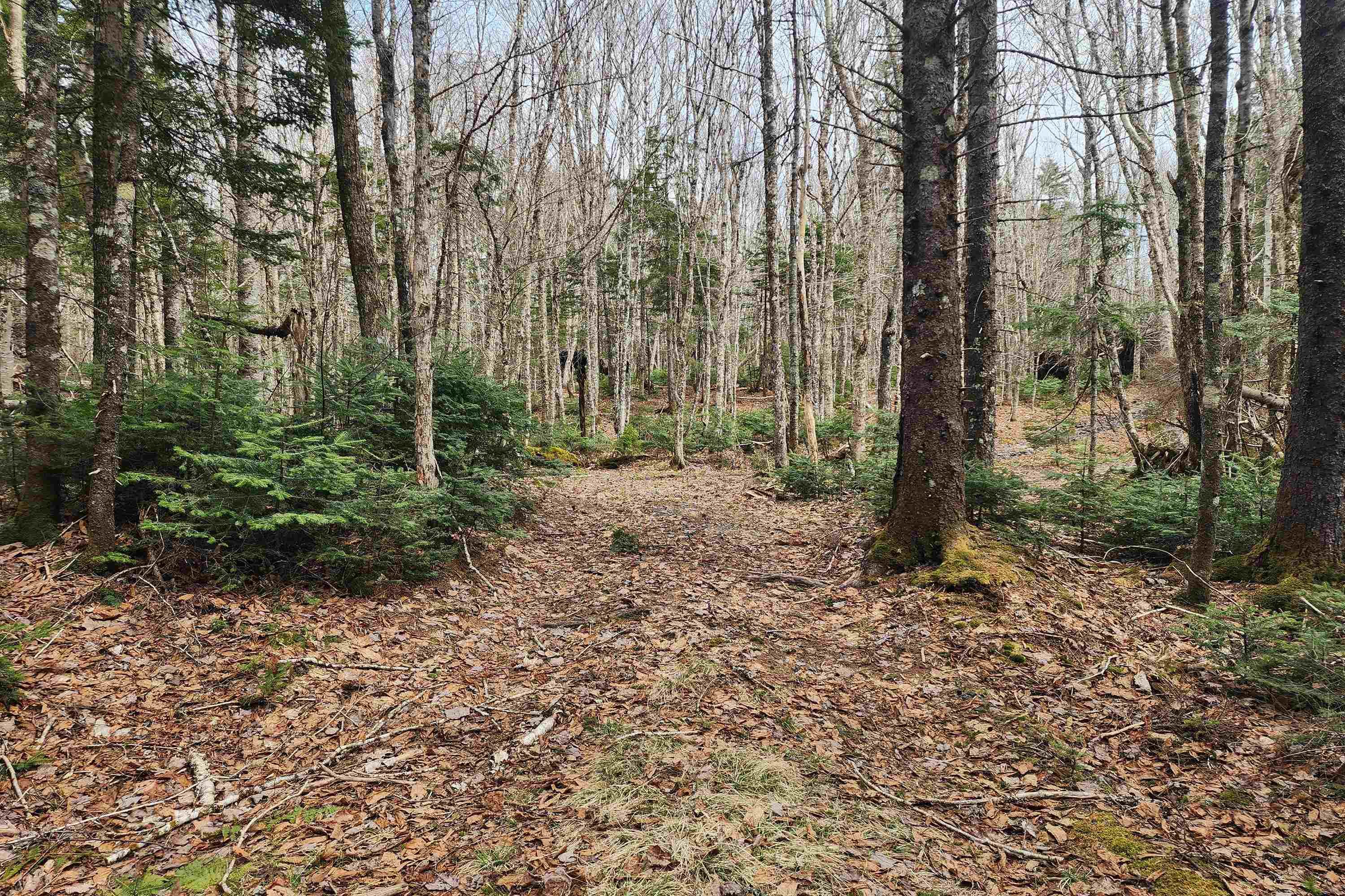 $120,000.00: 1009 Trout Lake Road, Hart Lake
