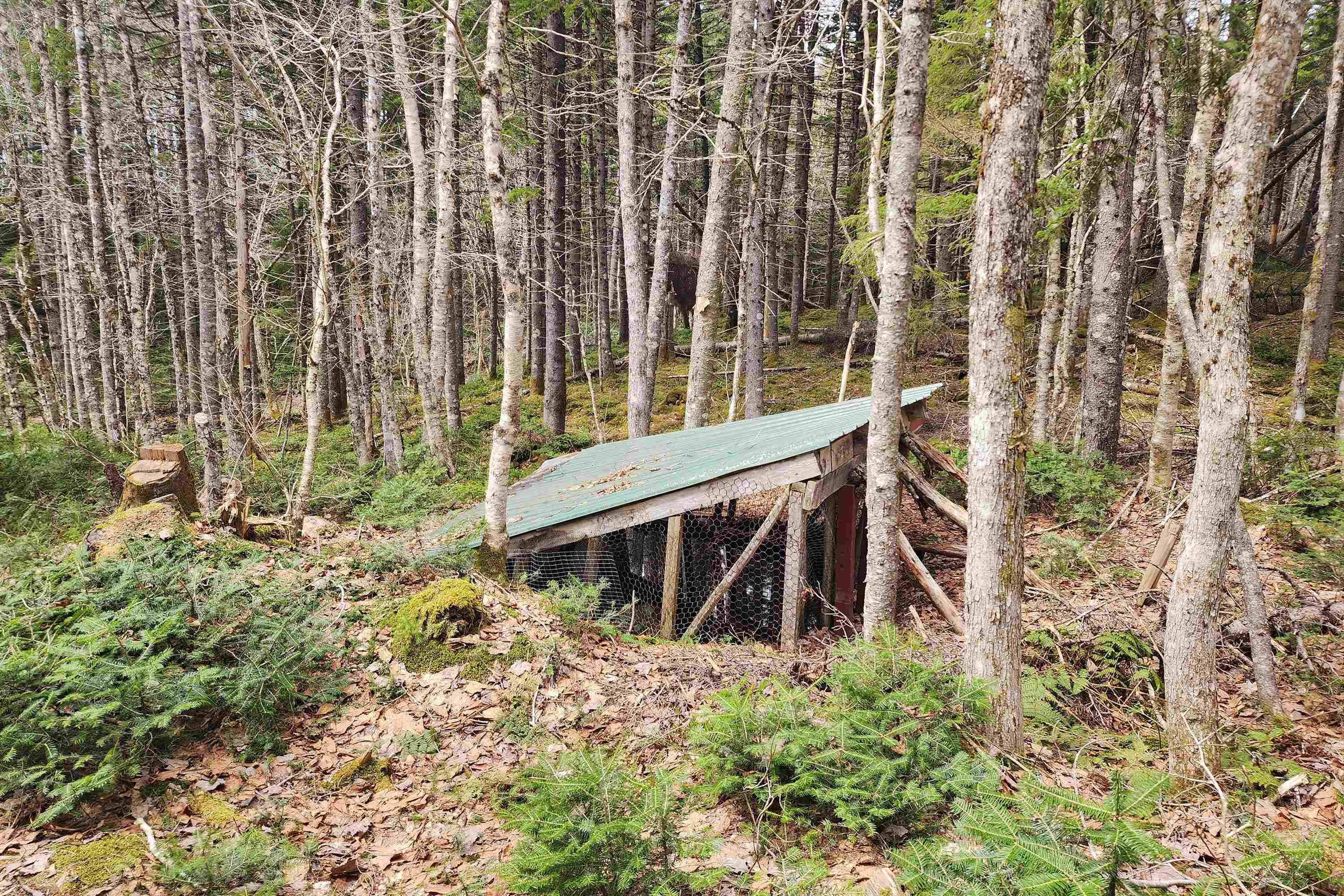 $120,000.00: 1009 Trout Lake Road, Hart Lake
