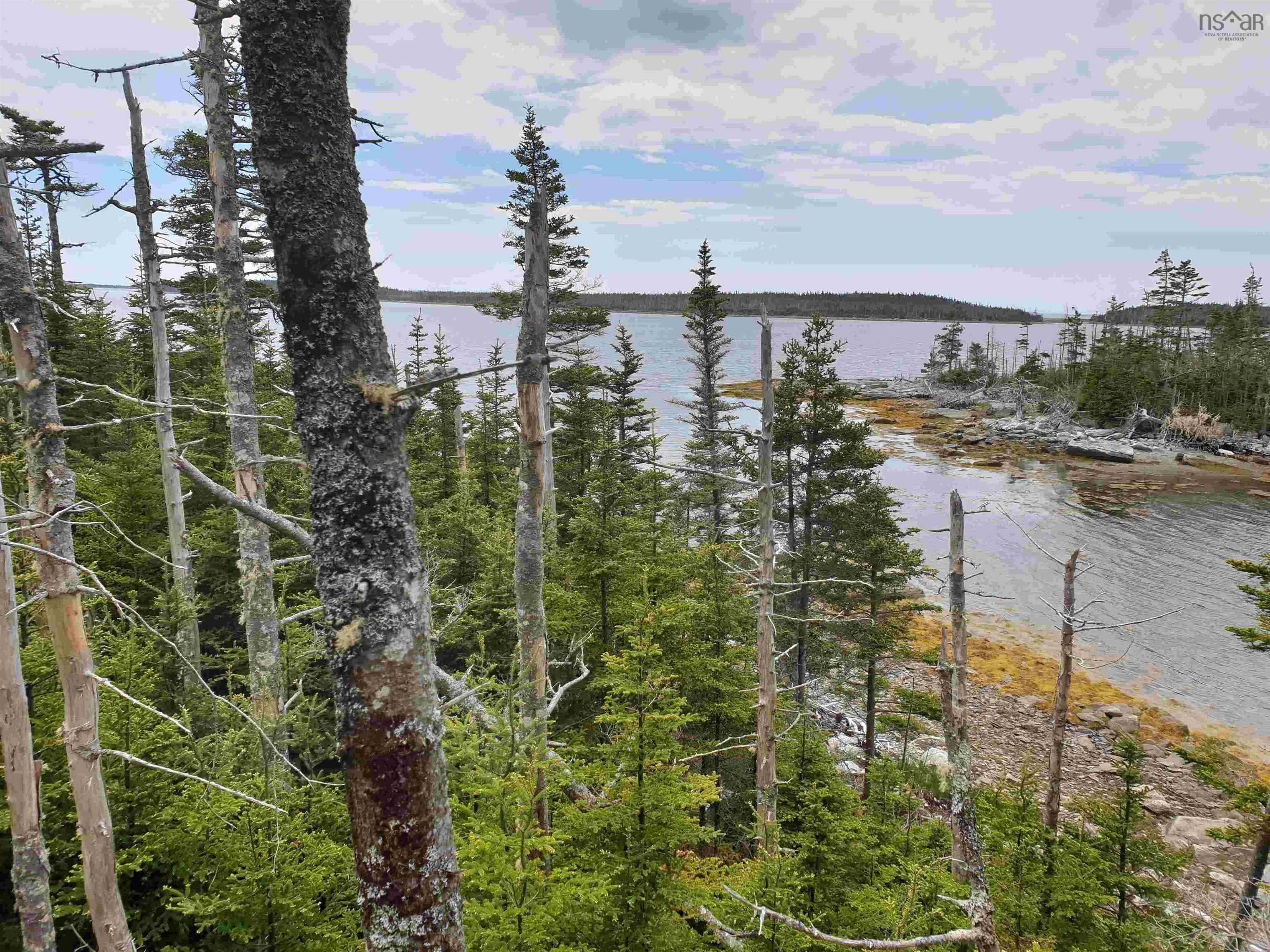 Lot 20-1 Highway 7, Ecum Secum, NS (MLS 202610293)