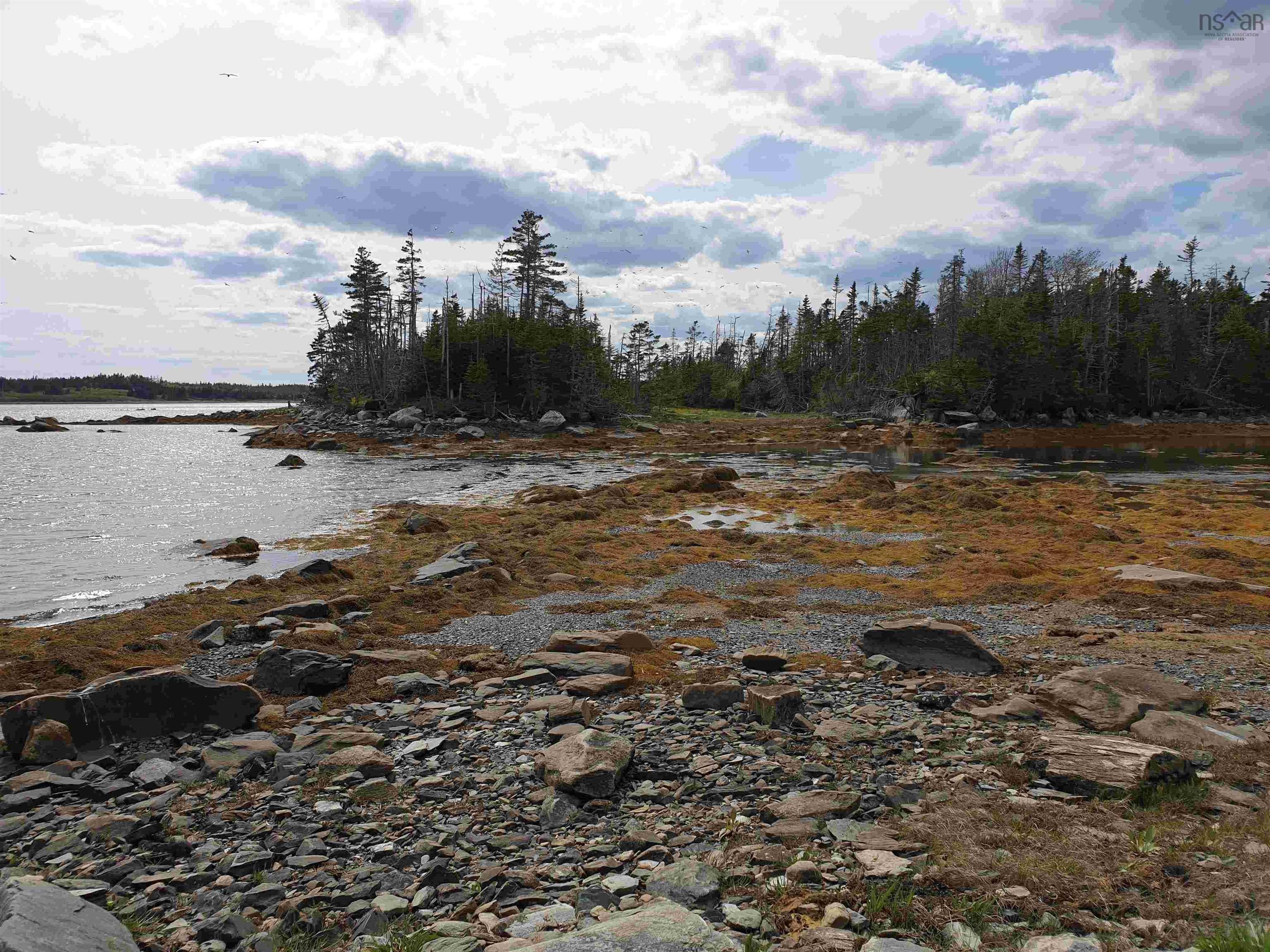 Lot 20-1 Highway 7, Ecum Secum, NS (MLS 202610293)