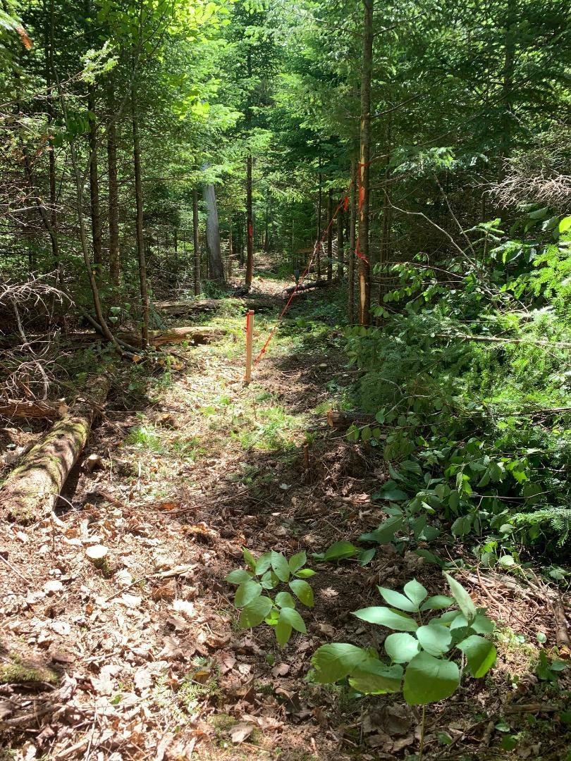 $39,900.00: Lot 22-4 Little Harbour Road, Frasers Mountain