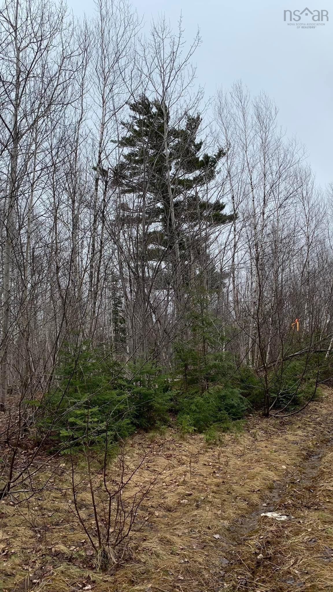 $29,900.00: Lot 24-4 Little Harbour Road, Frasers Mountain