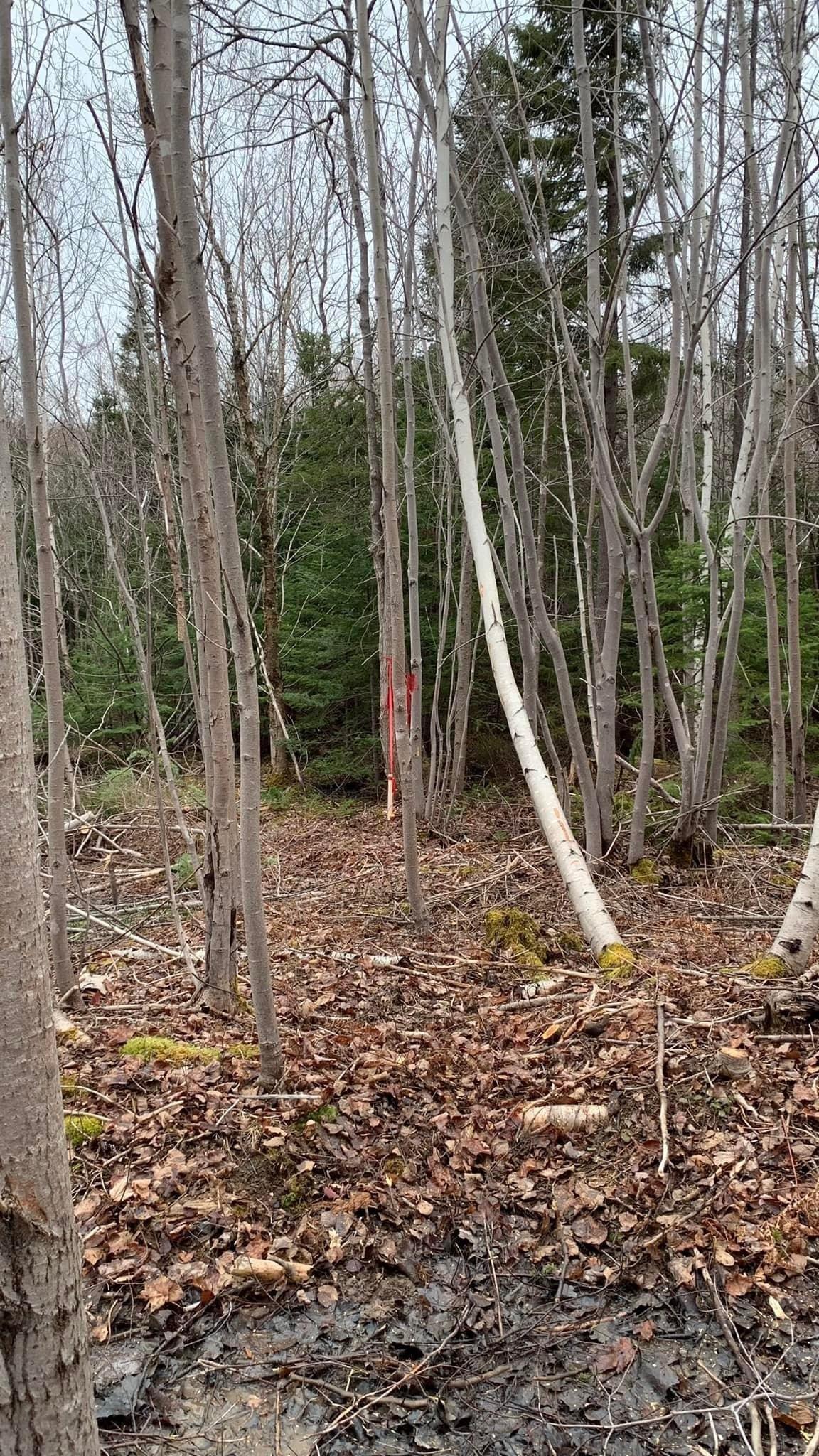 $29,900.00: Lot 24-4 Little Harbour Road, Frasers Mountain