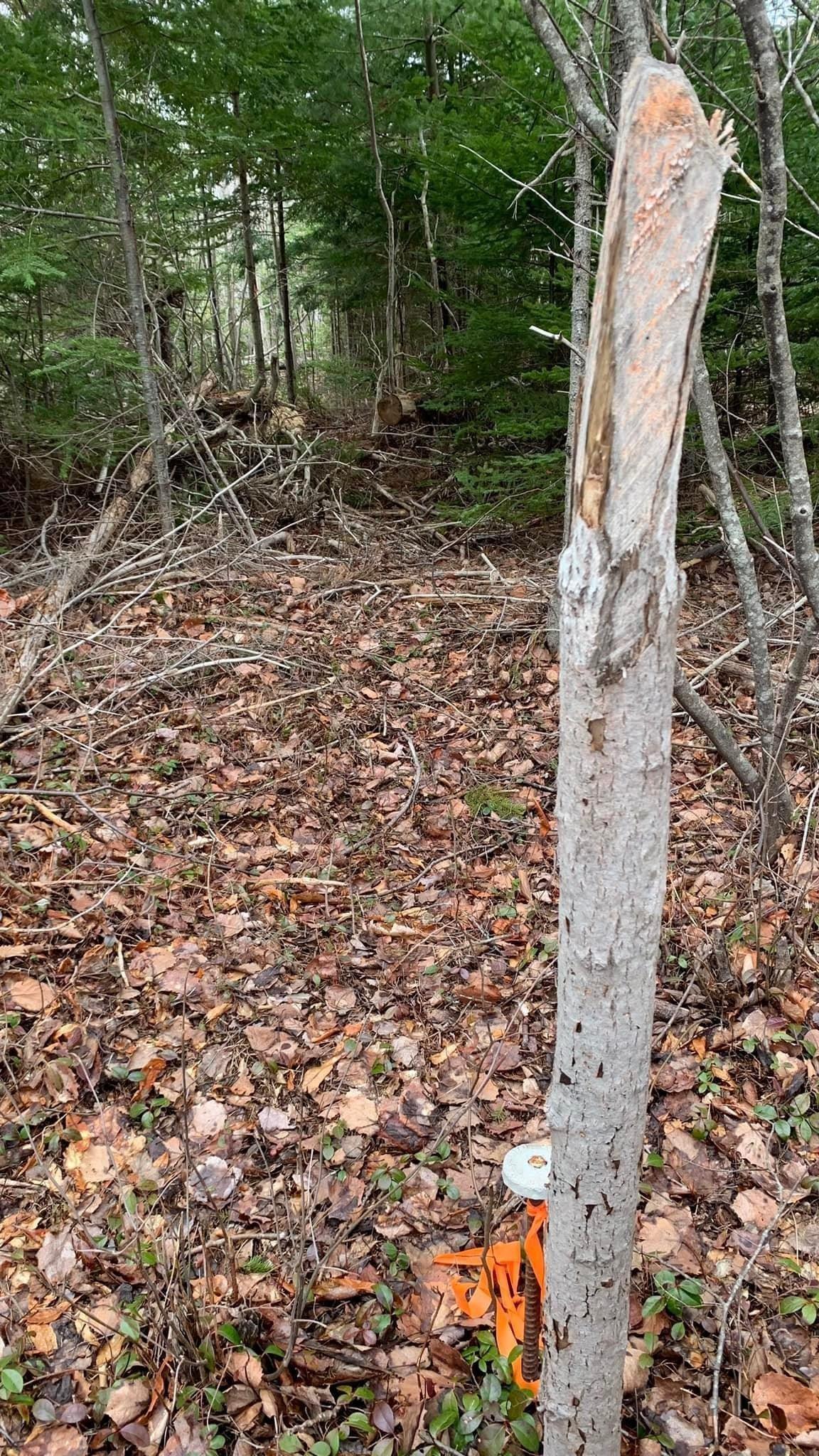 $29,900.00: Lot 24-4 Little Harbour Road, Frasers Mountain
