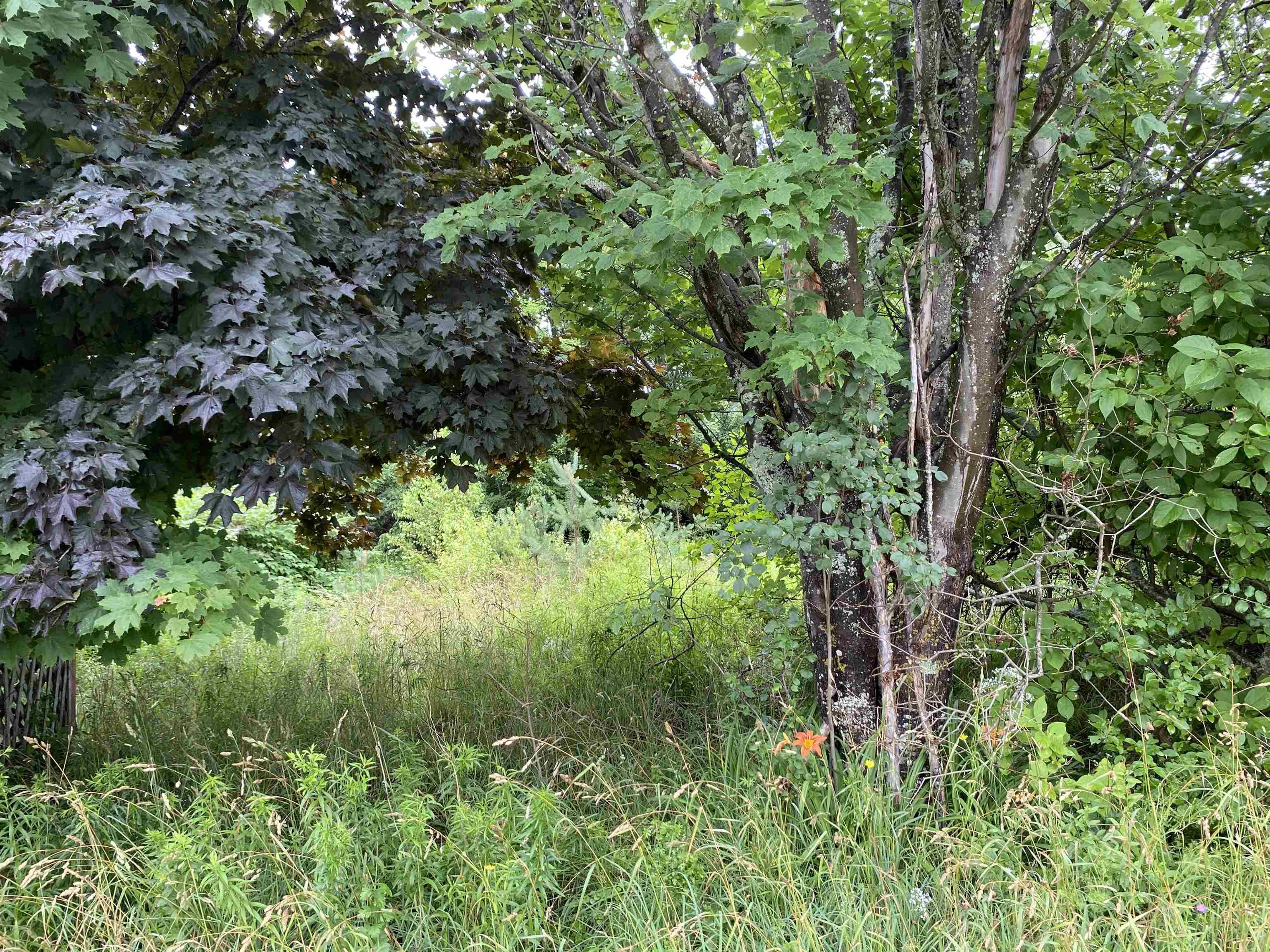 $24,900.00: Lot Wellington Street, Pictou