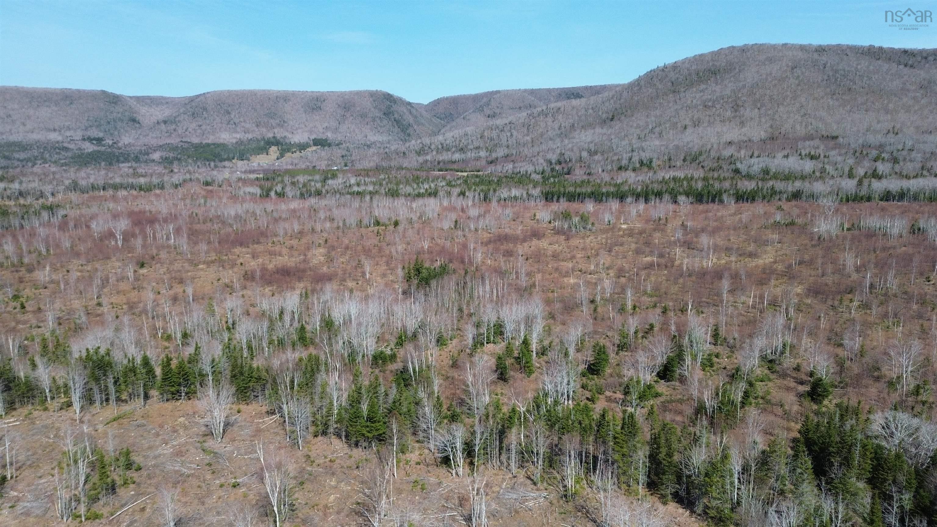 $55,000.00: LOT 2025-2 East Big Intervale Road, Rivulet