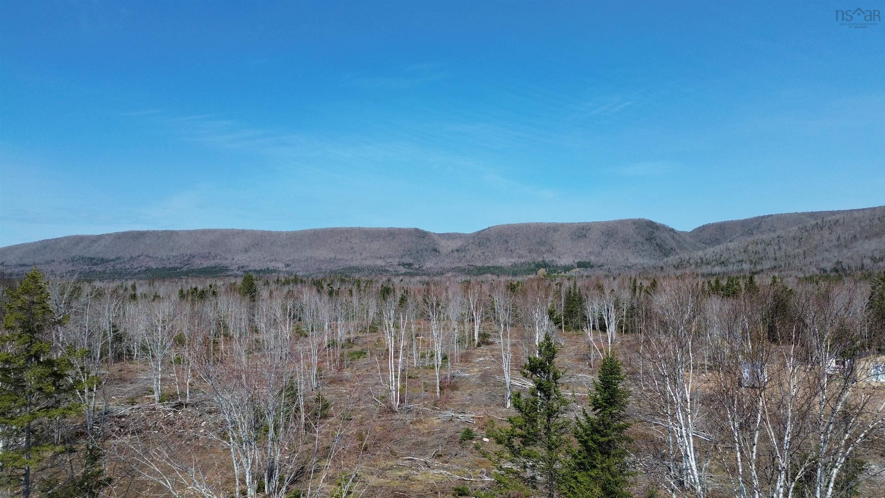 $55,000.00: LOT 2025-2 East Big Intervale Road, Rivulet