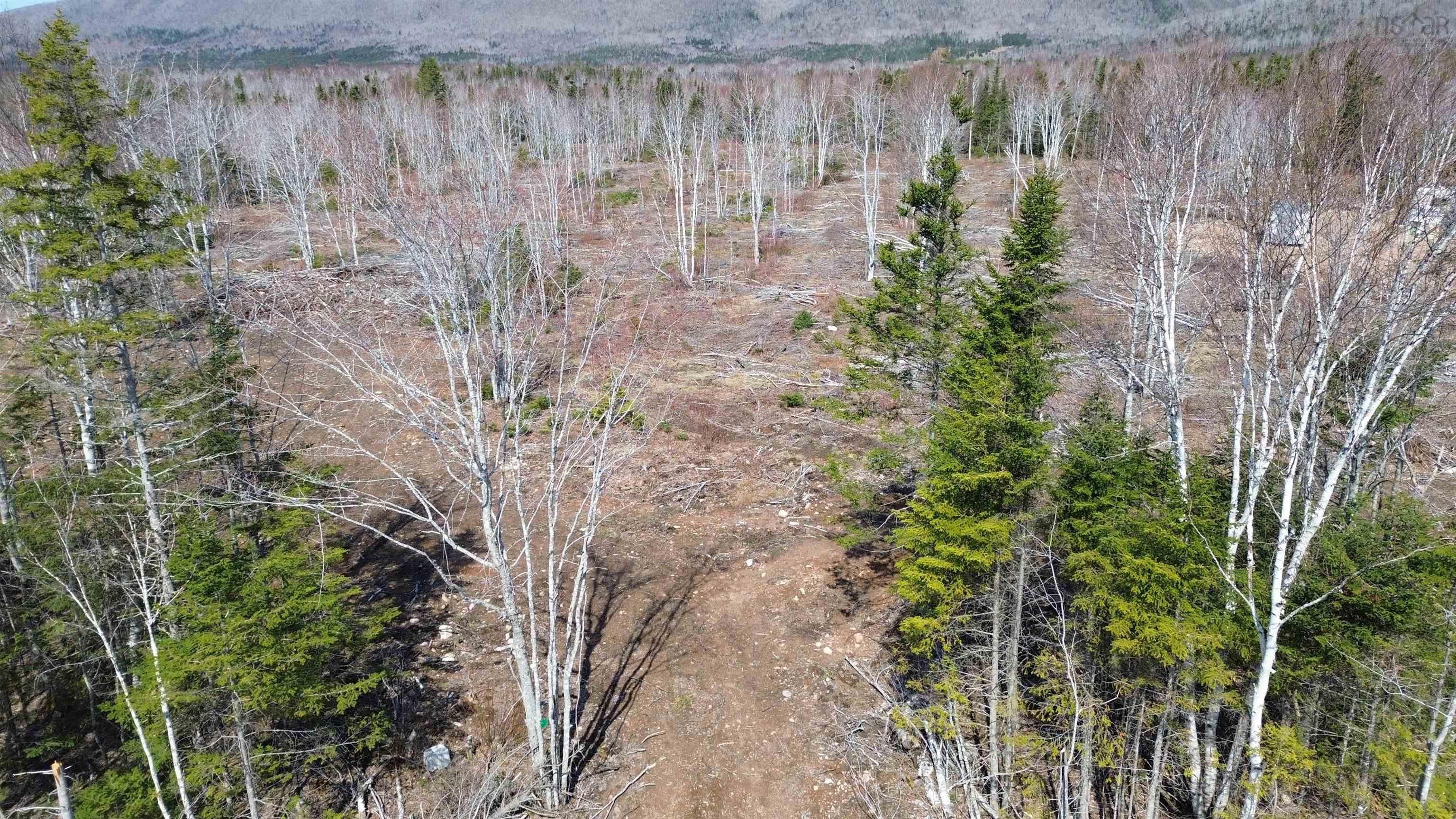 $55,000.00: LOT 2025-2 East Big Intervale Road, Rivulet