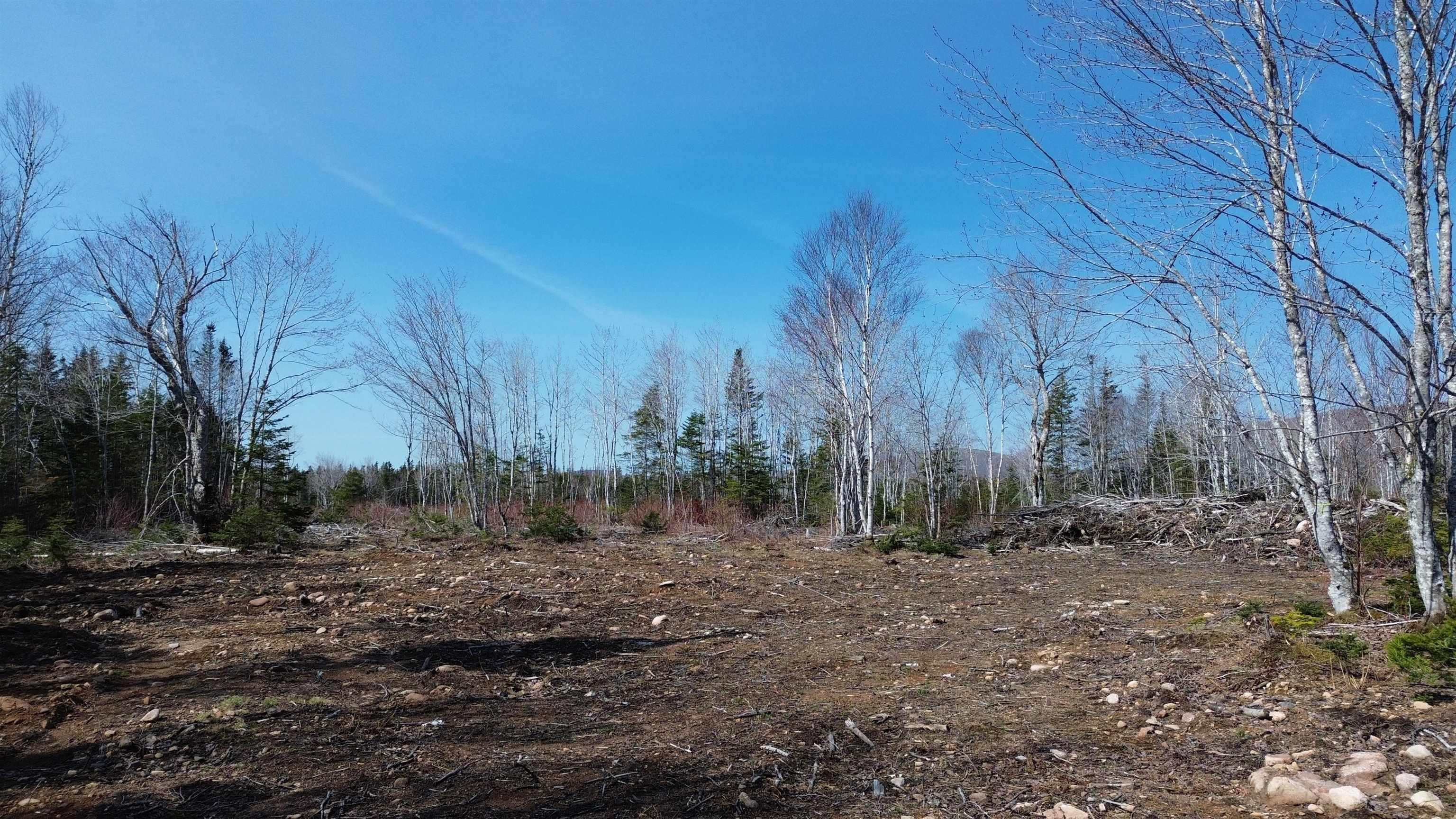 $55,000.00: LOT 2025-2 East Big Intervale Road, Rivulet