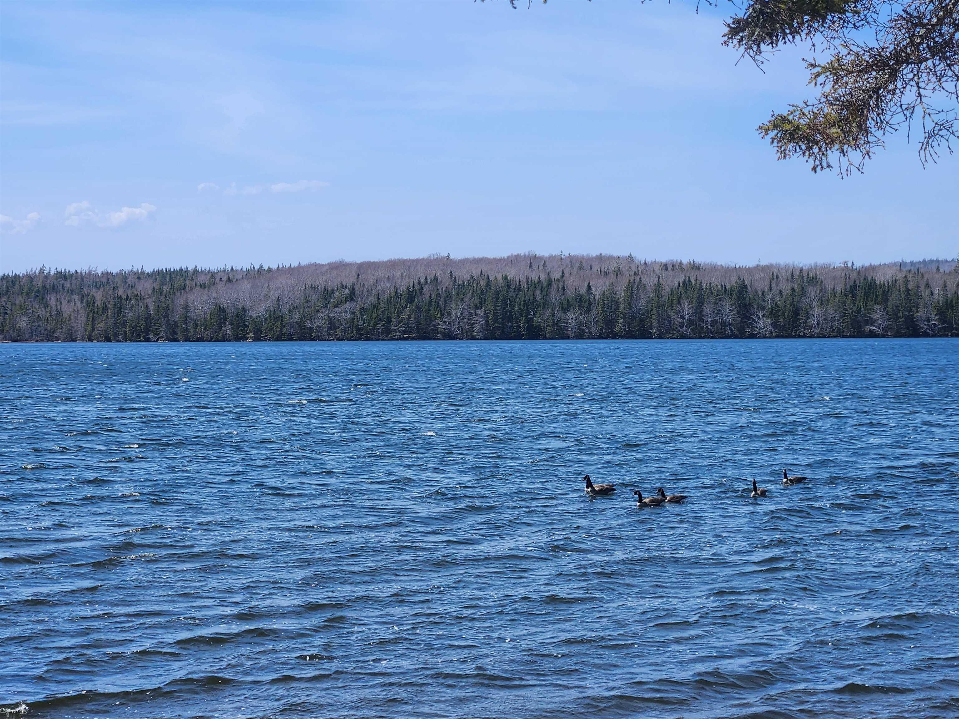$289,900.00: 2280 Loch Lomond Road, Enon