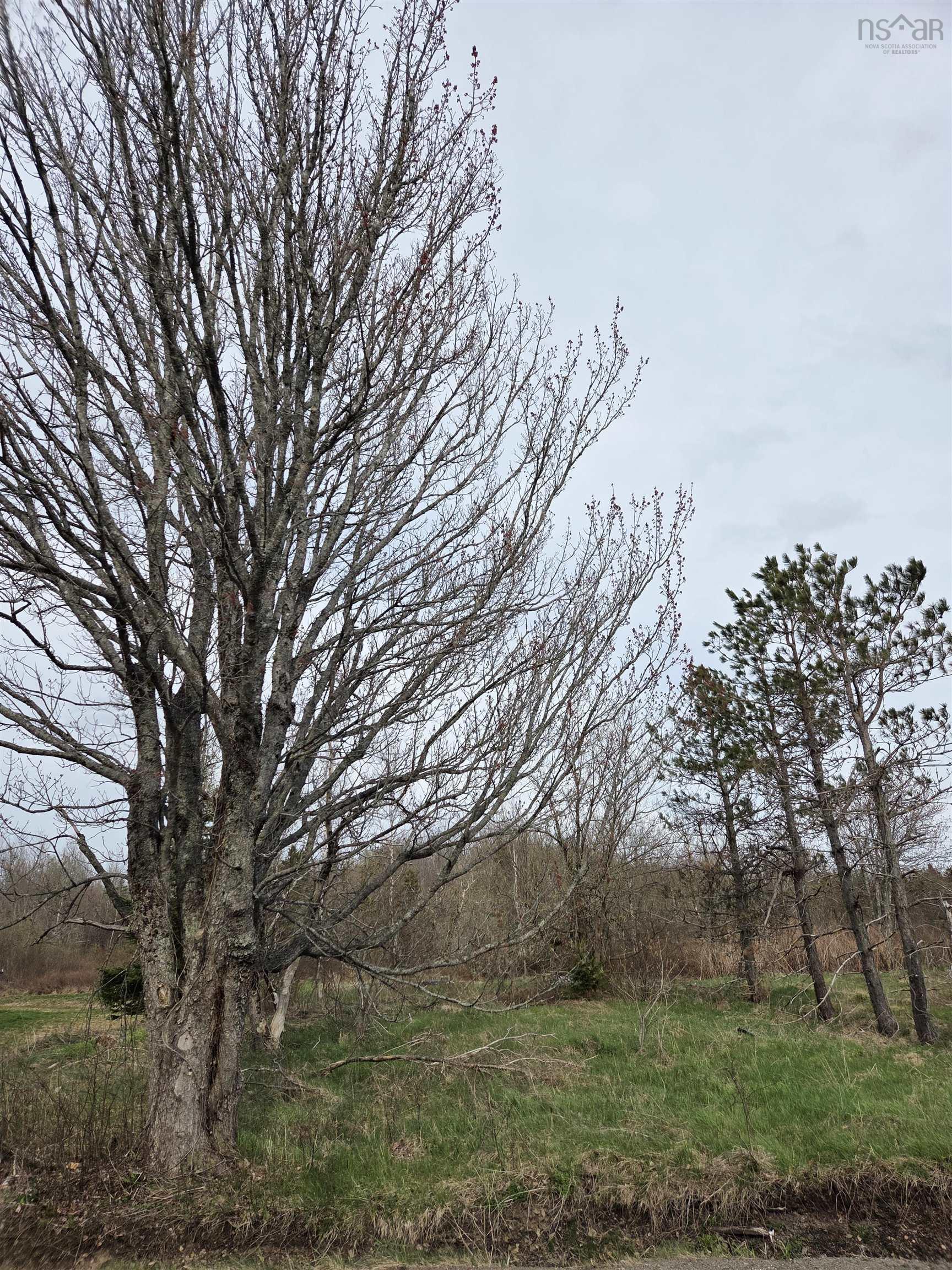 $39,900.00: Vacant Lot Herrett Road, Springhill
