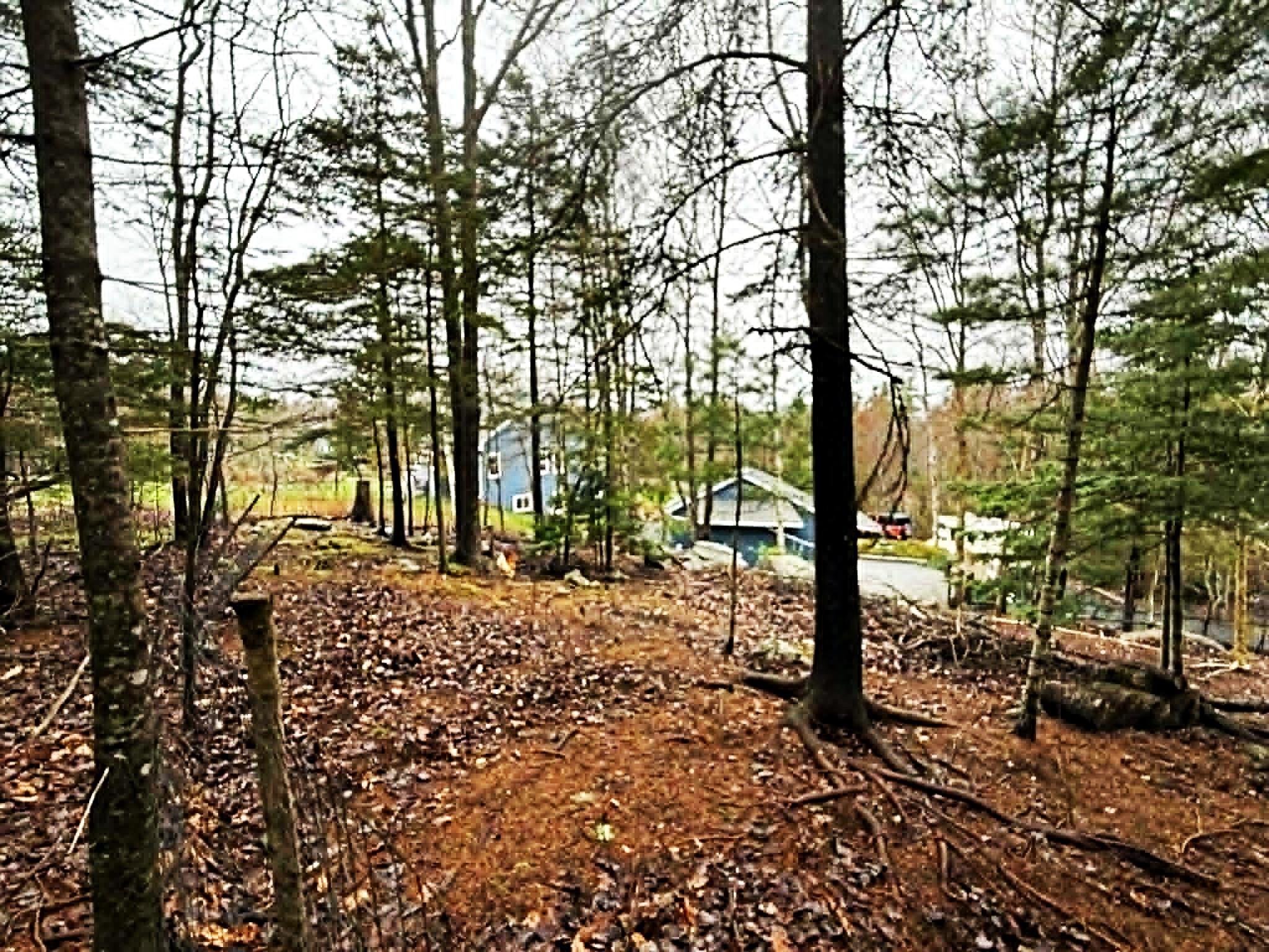 626 Montague Road, Dartmouth, NS (MLS 202610487)