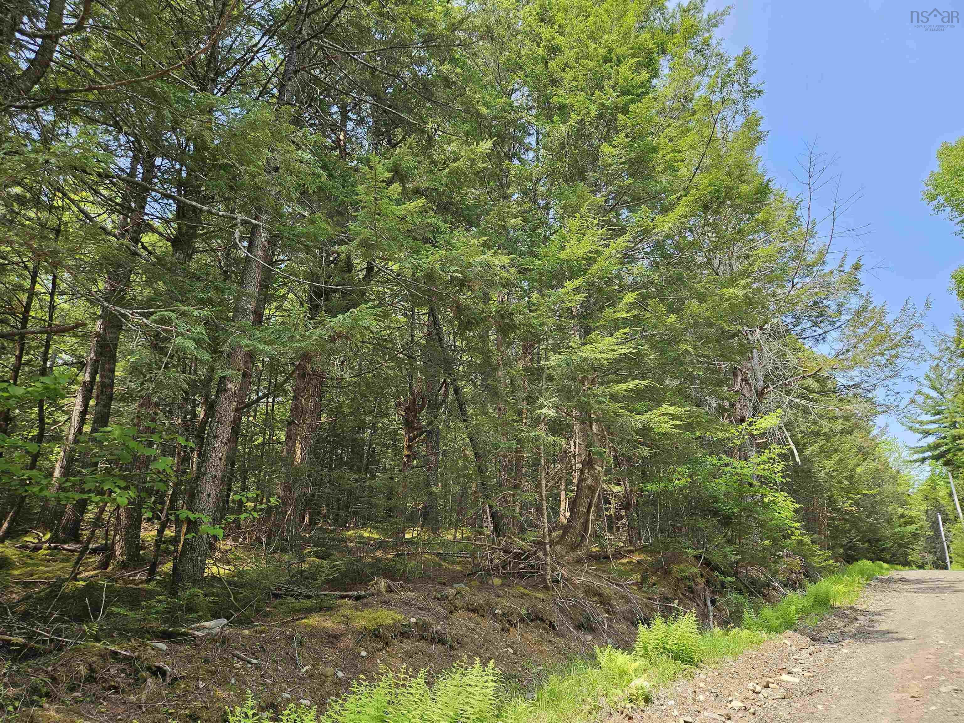 $34,500.00: 10B Cottage Lane, Pleasantfield