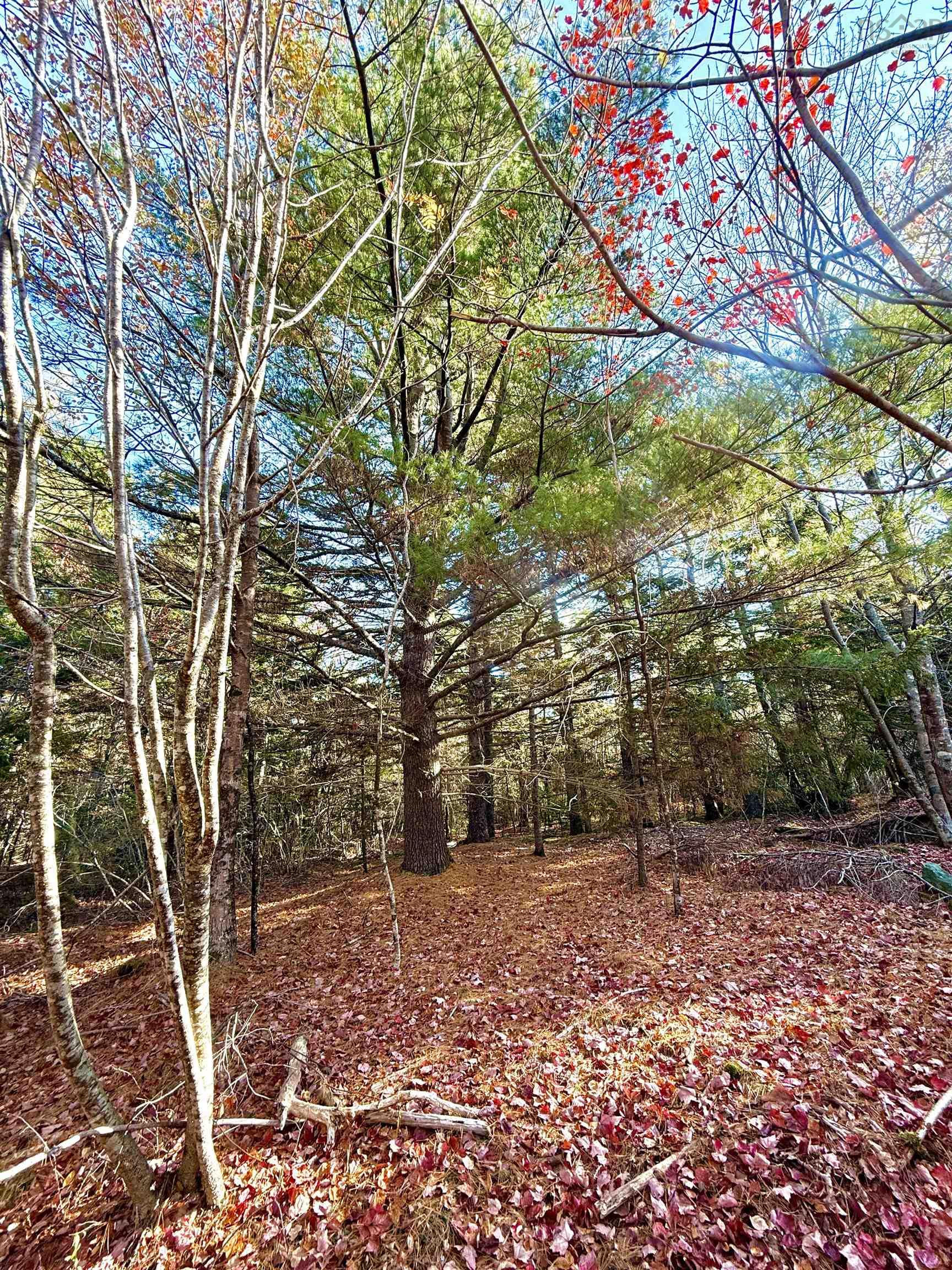 $45,000.00: Lot 2 Ridge Road, Plympton Station