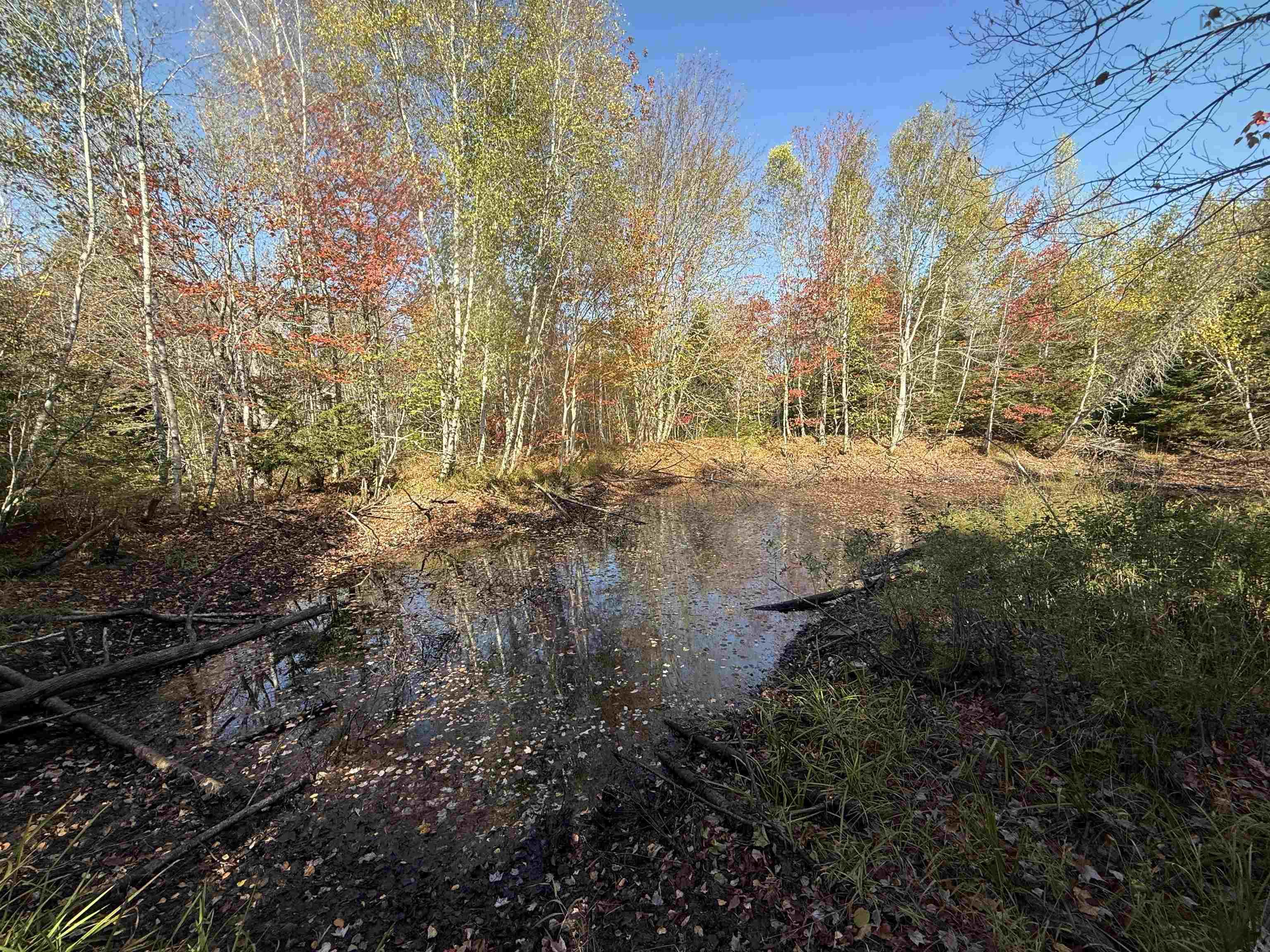 $45,000.00: Lot 2 Ridge Road, Plympton Station