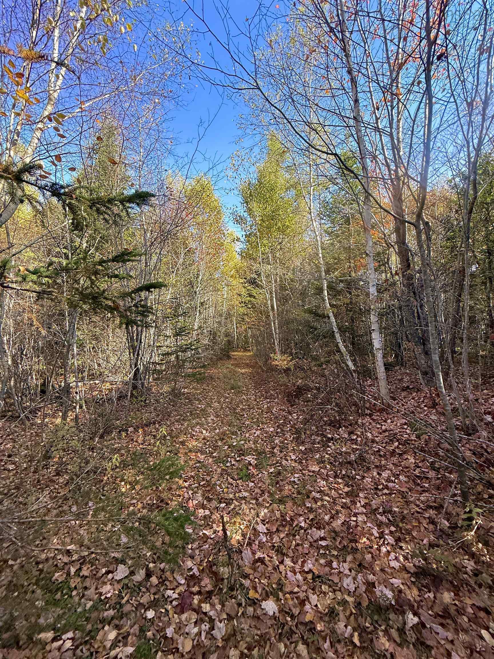 $45,000.00: Lot 2 Ridge Road, Plympton Station