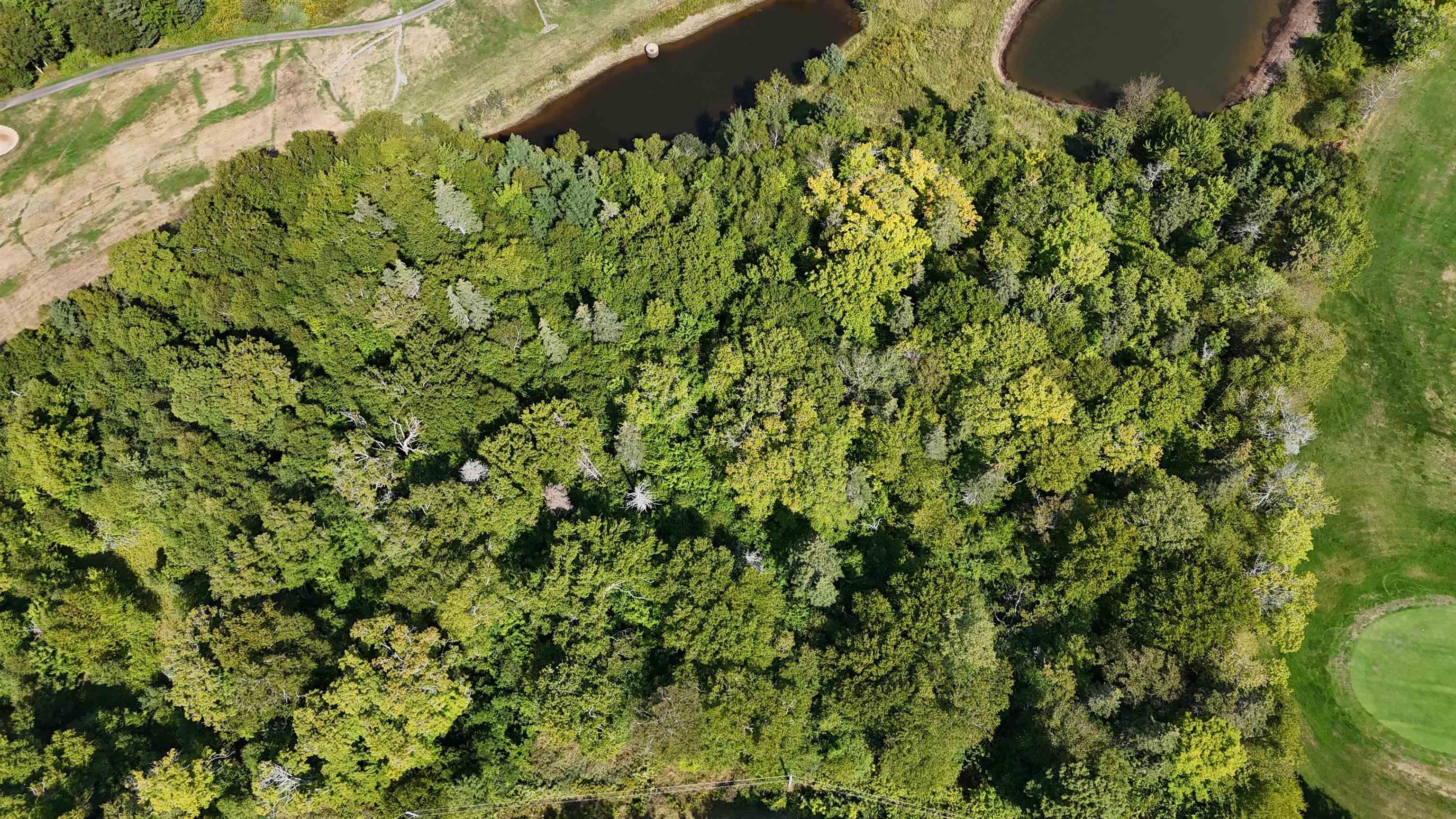 $64,900.00: Lot 1 Dundee Road, Dundee