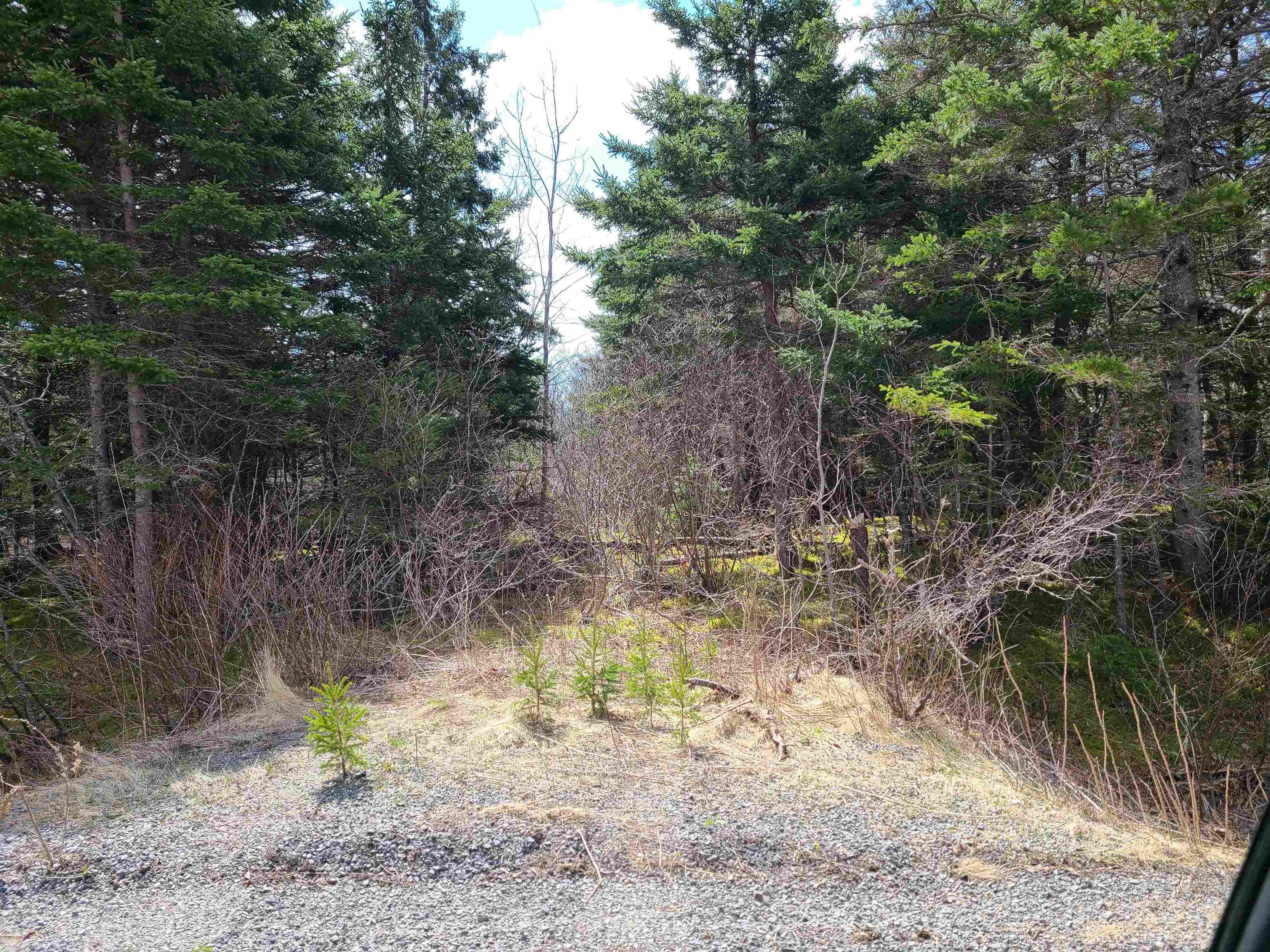 $18,000.00: Highway 344, Manassette Lake