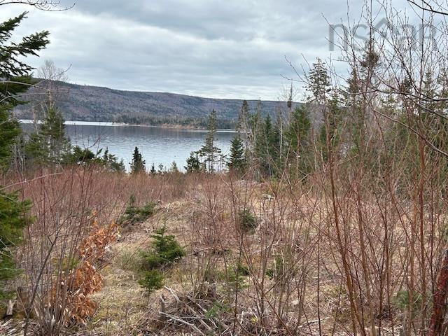 $139,000.00: Lot 5-21 Cabot Trail Road, St. Anns