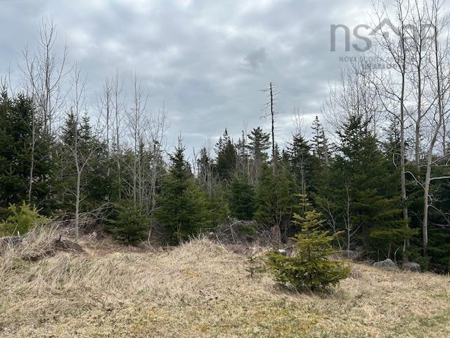 $139,000.00: Lot 5-21 Cabot Trail Road, St. Anns