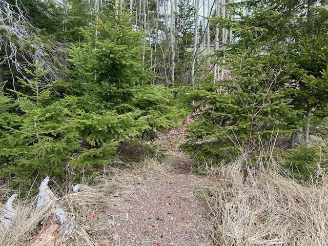 $139,000.00: Lot 5-21 Cabot Trail Road, St. Anns