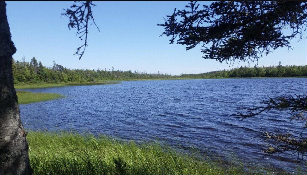 Lot 9 Block K P Seaforth, Seaforth, NS (MLS® 202610630) | Seaforth Real Estate | RE/MAX Halifax